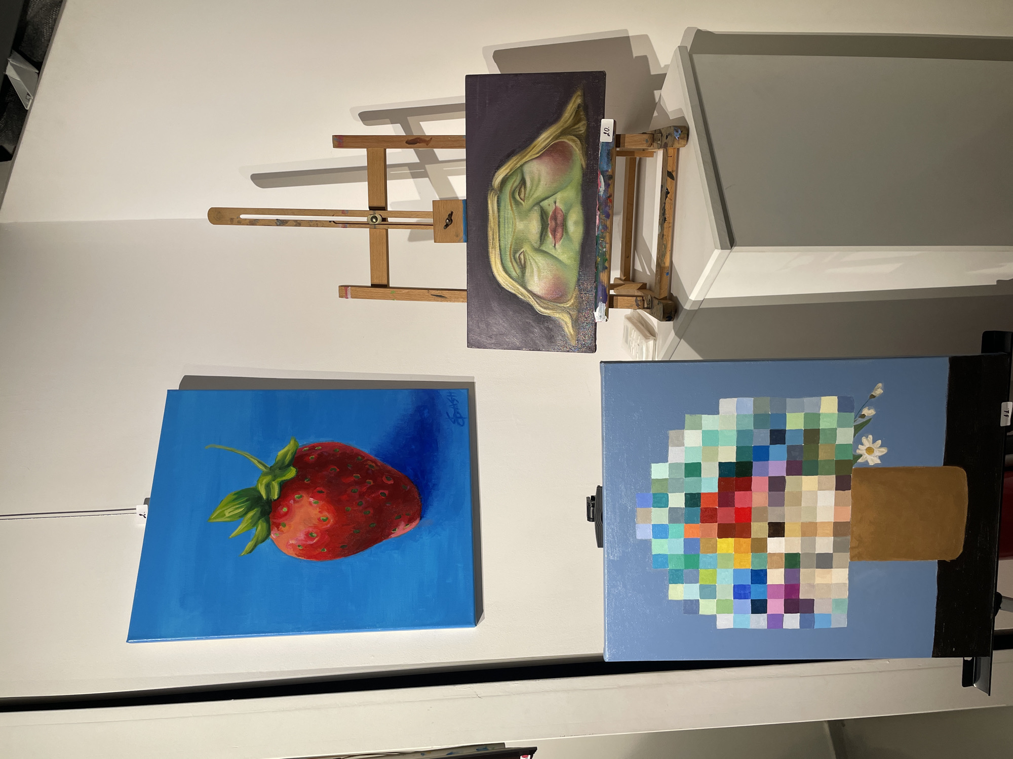Art exhibition featuring diverse paintings observed in Plovdiv gallery