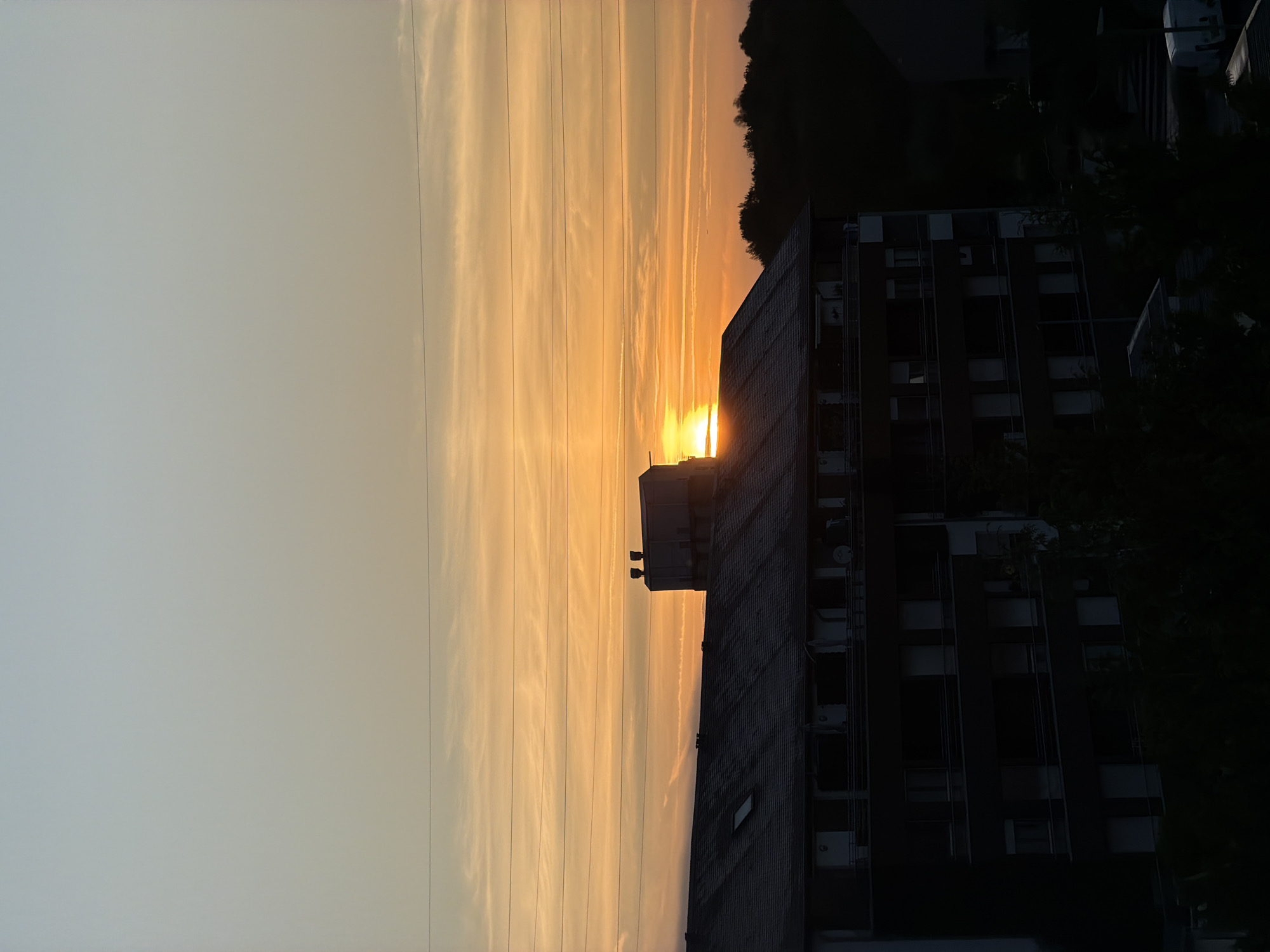 Garden day in Luxembourg: mowing, fruit trees, a dog, and sunset