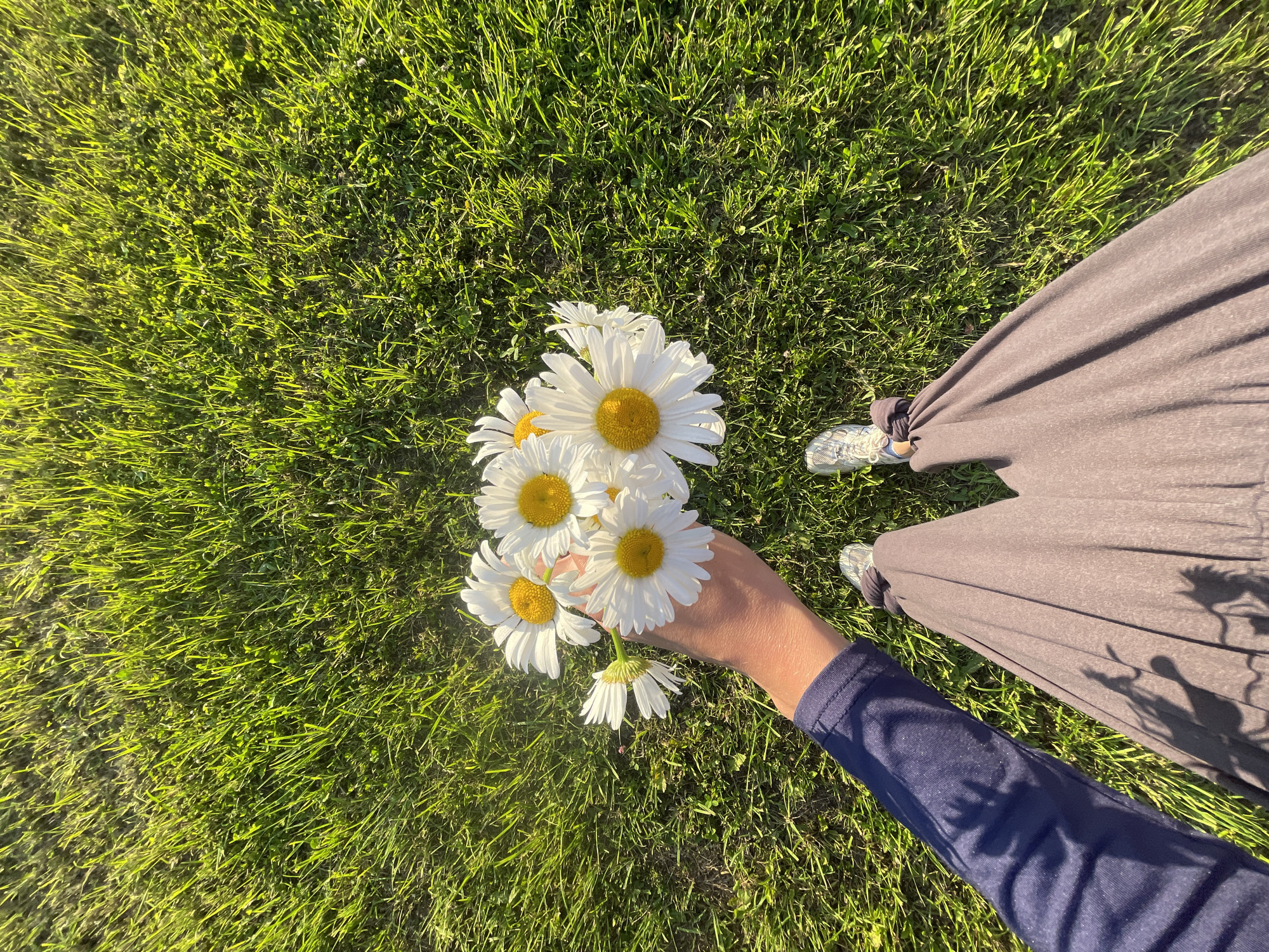 Lazy summer afternoon in Podshivalovo: daisies, strawberries, and sunshine