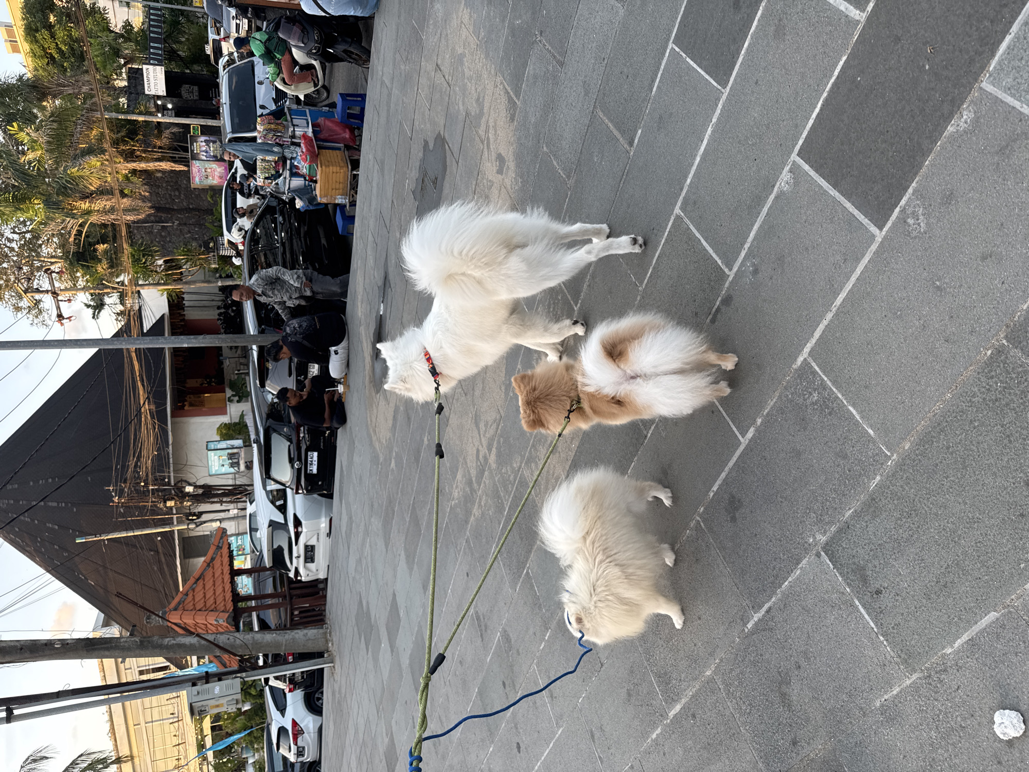Kuta Beach sunset: dogs, dining, and crowds on the shore