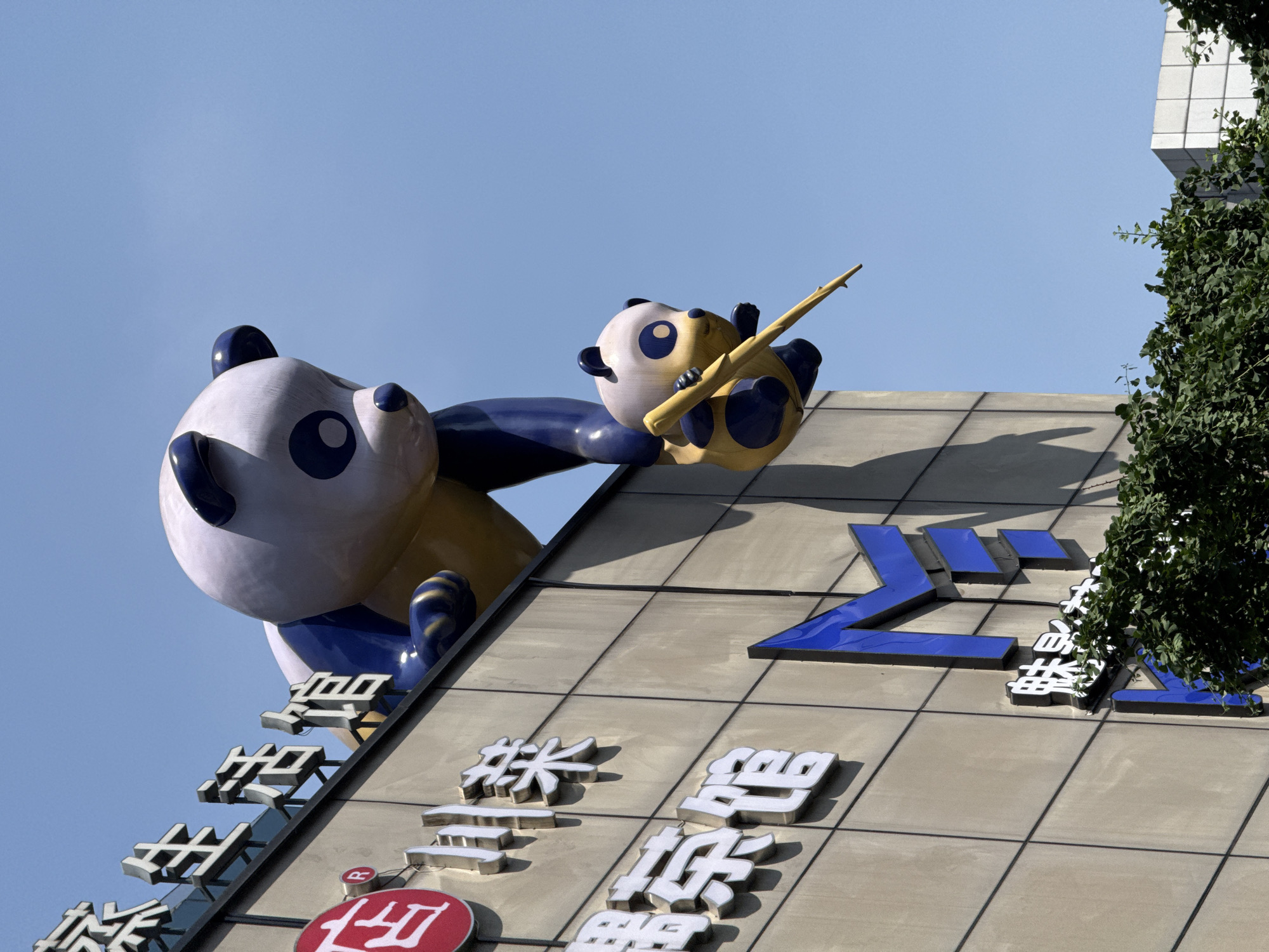 Daily life scenes documented in Jinjiang District, Chengdu