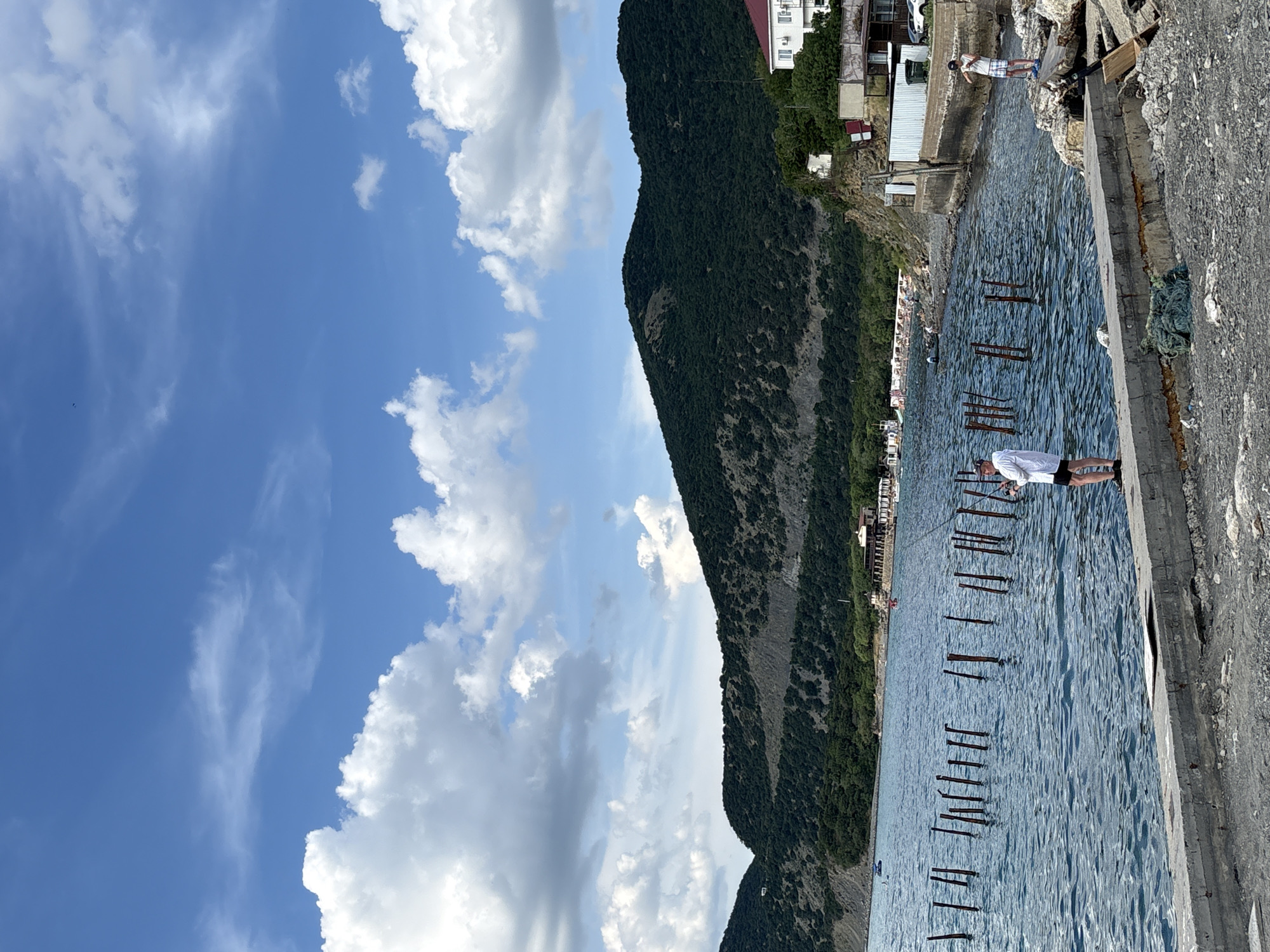 Beluga whale trainer interaction observed at Sukko marine facility