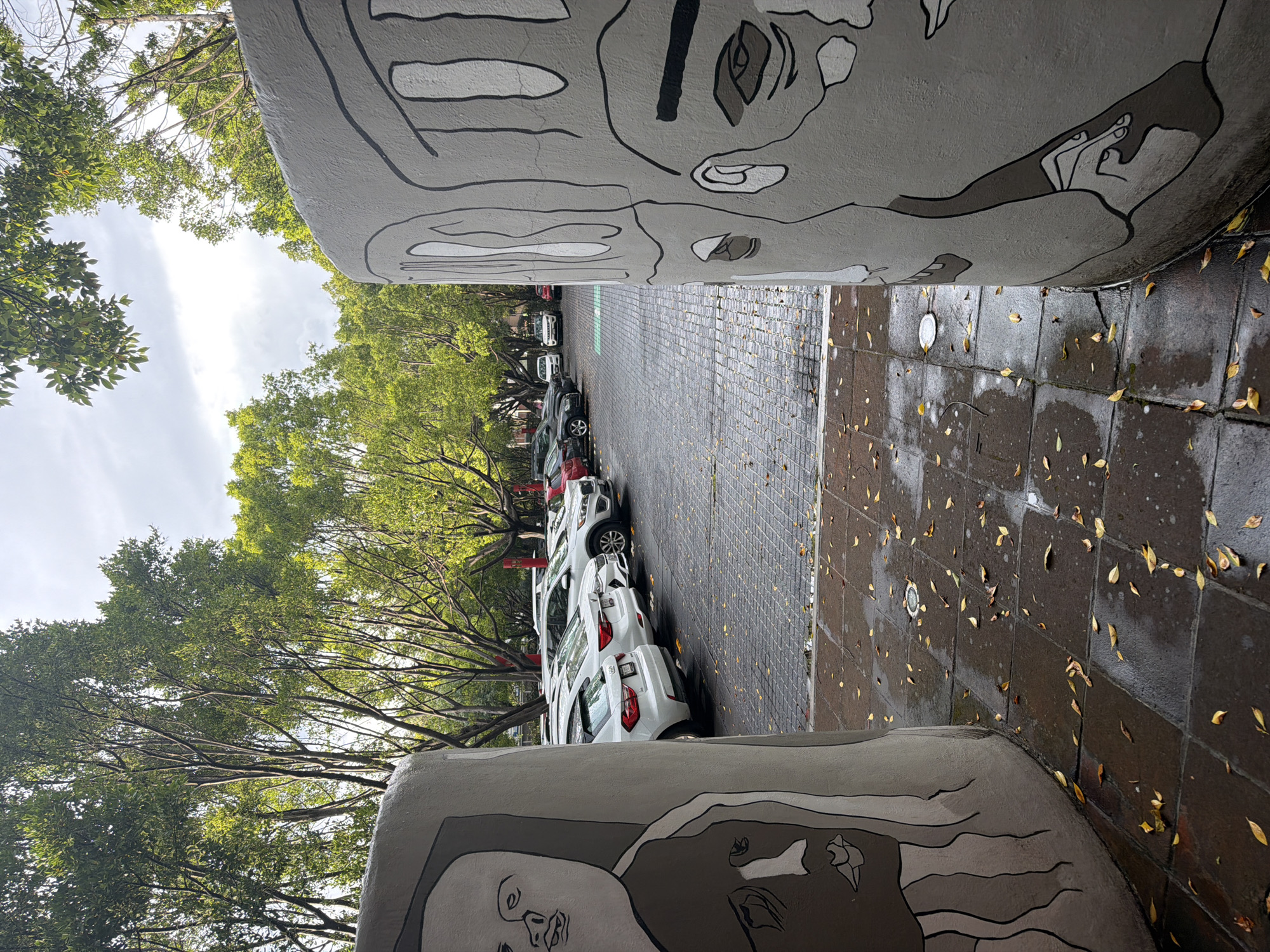 Evening scenes captured around Puebla featuring street art and rain