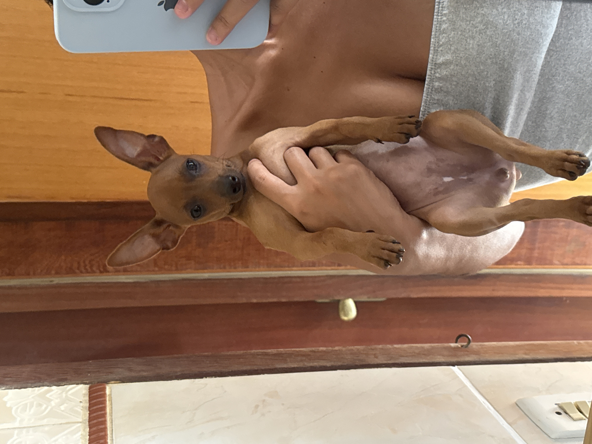 Person captures mirror selfie with small dog in Cabo Frio
