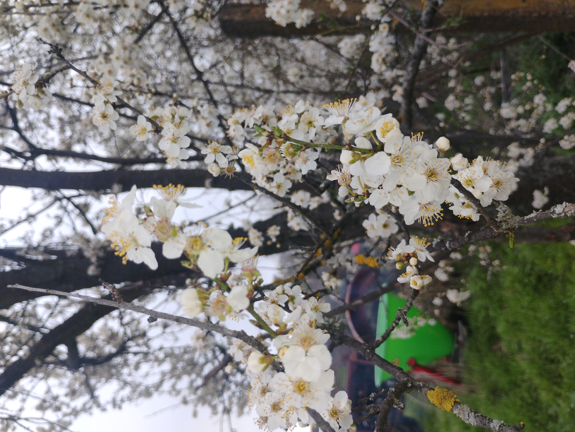 Spring day scenes captured in rural Trakiya, Bulgaria