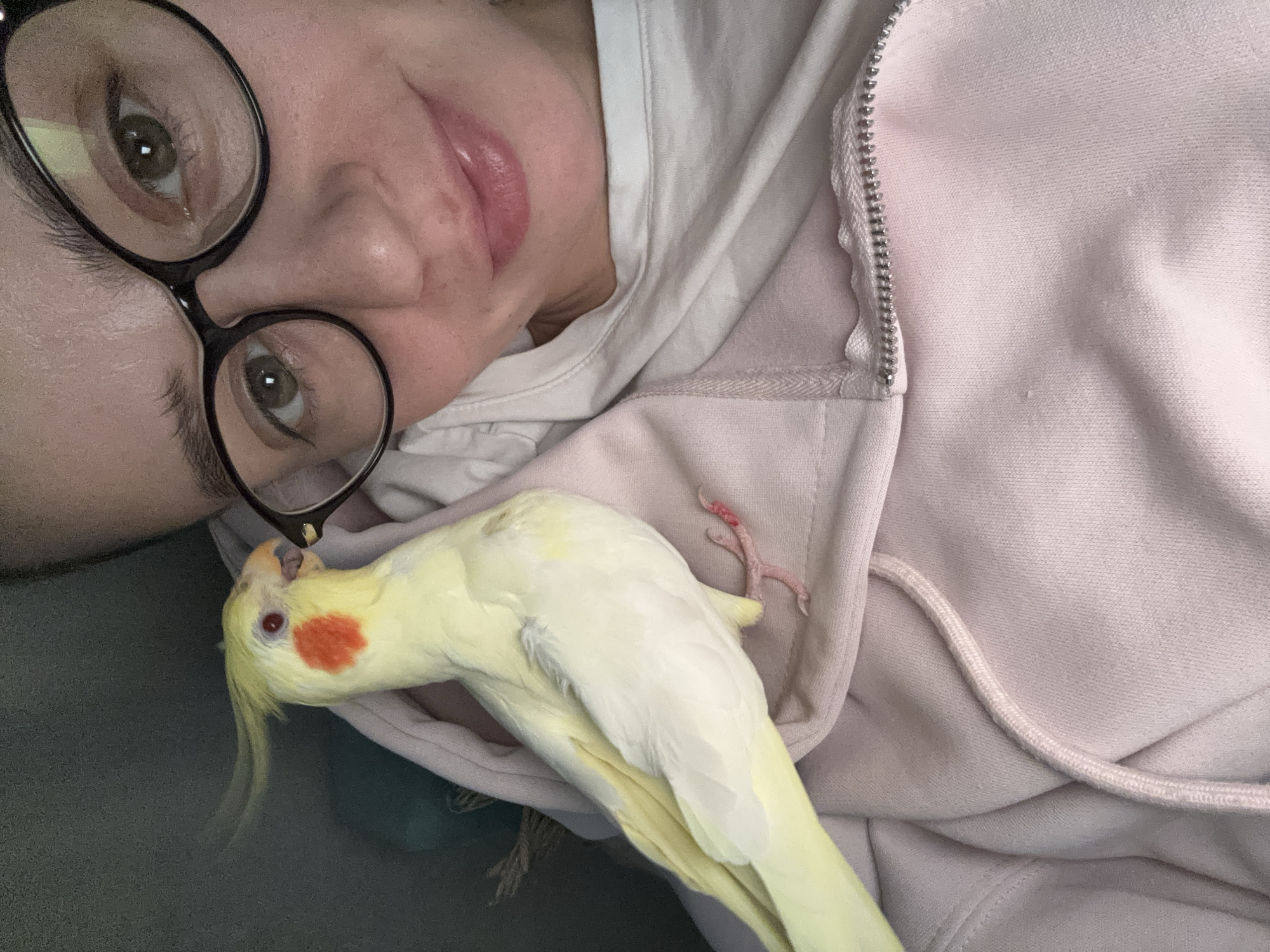 Quiet evening documented in Krasnoyarsk homes with pets, dinner