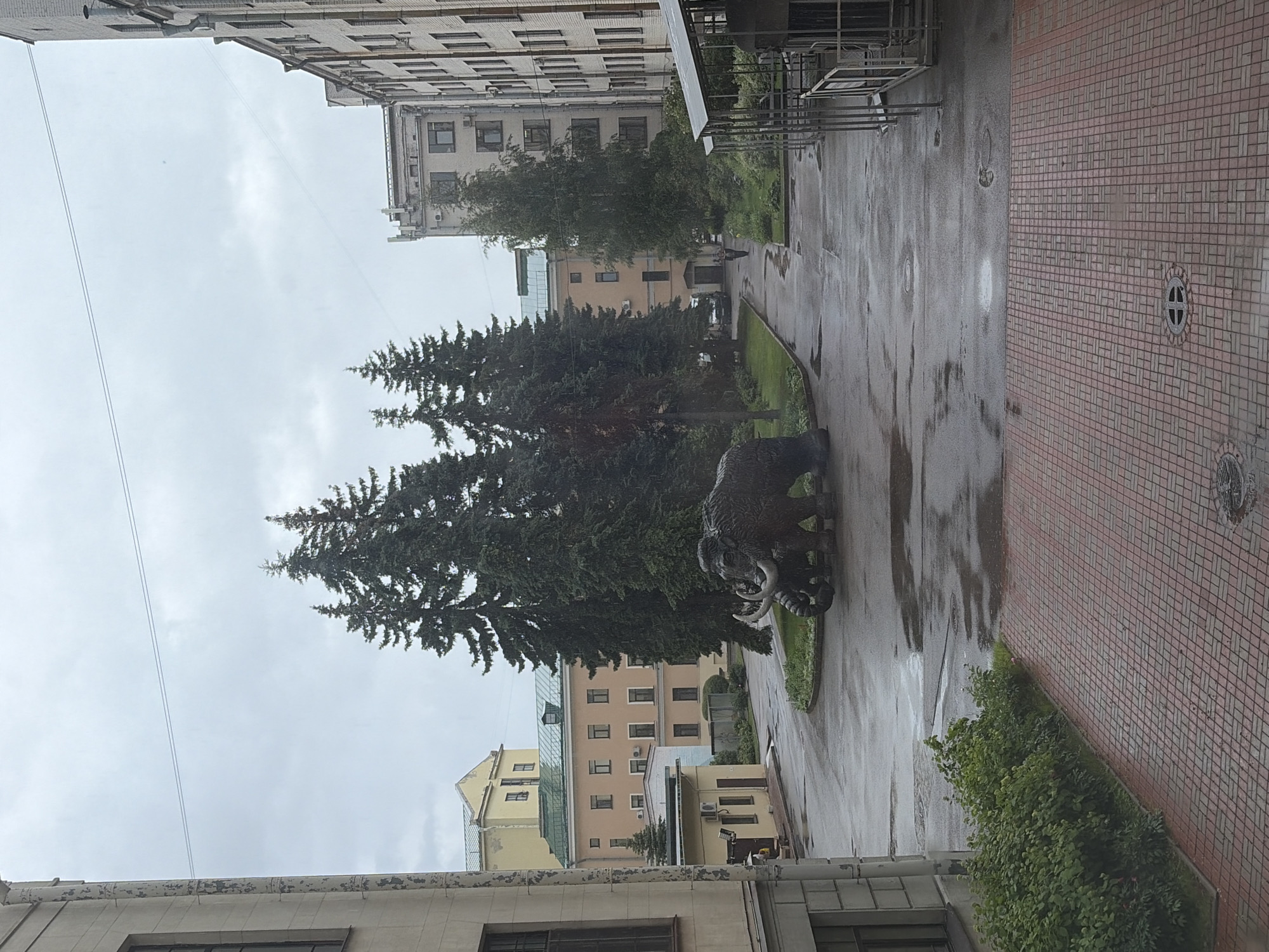 Museum tour through Saint Petersburg's classical architecture and exhibits