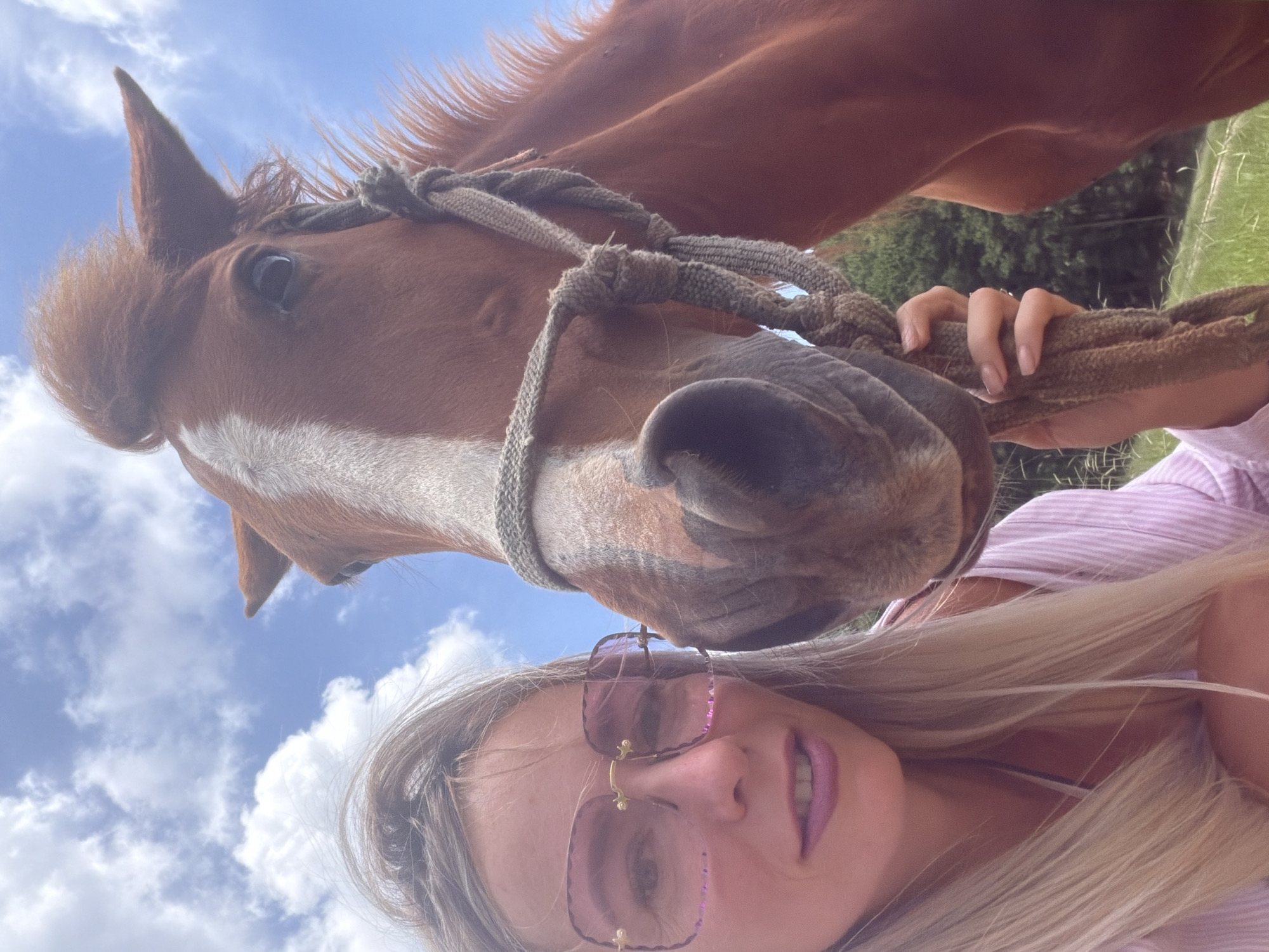 Selfies and close-ups with a chestnut horse in Da Lat