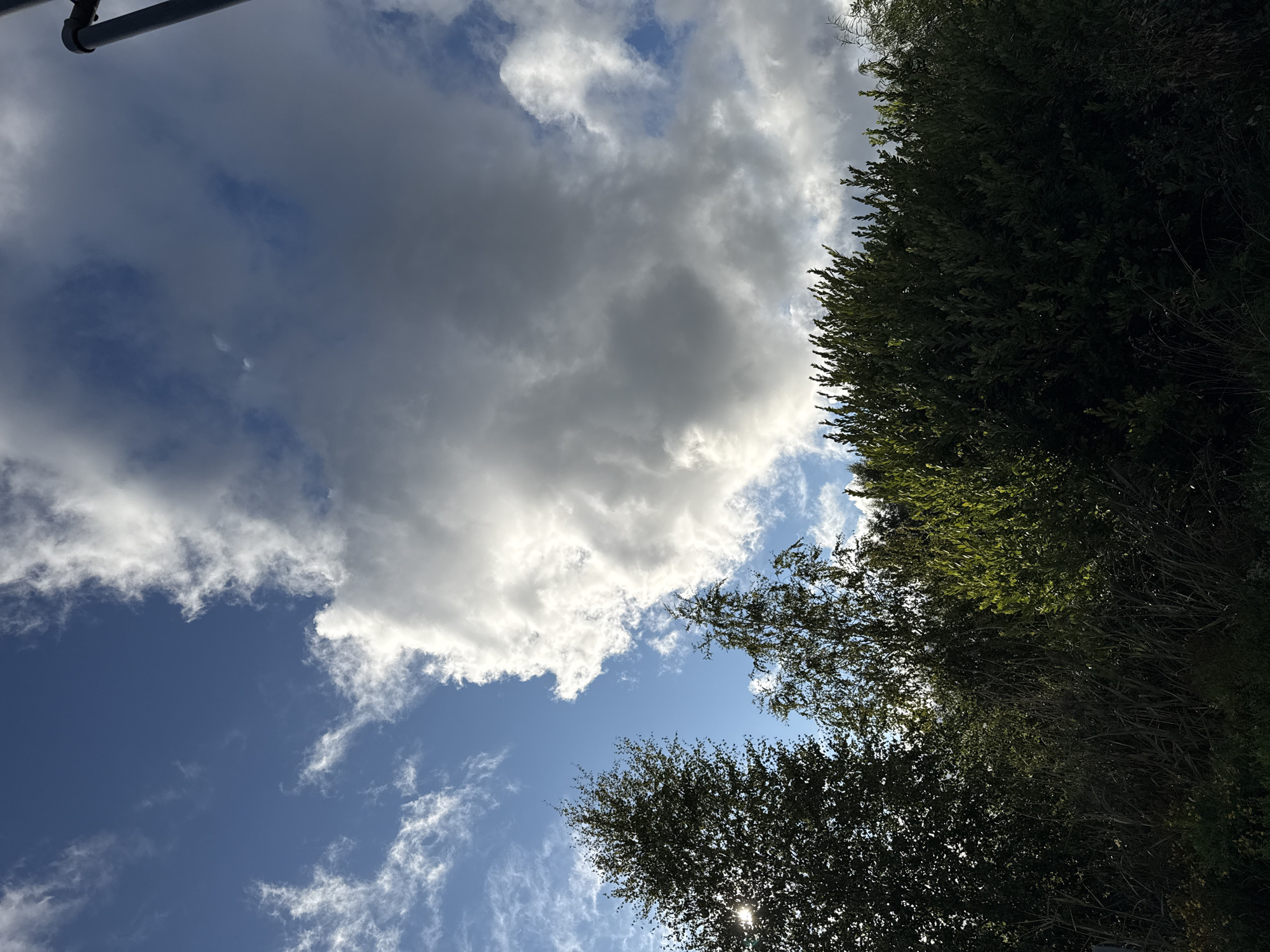 Tallinn neighborhood snapshot: murals, construction, and summer skies