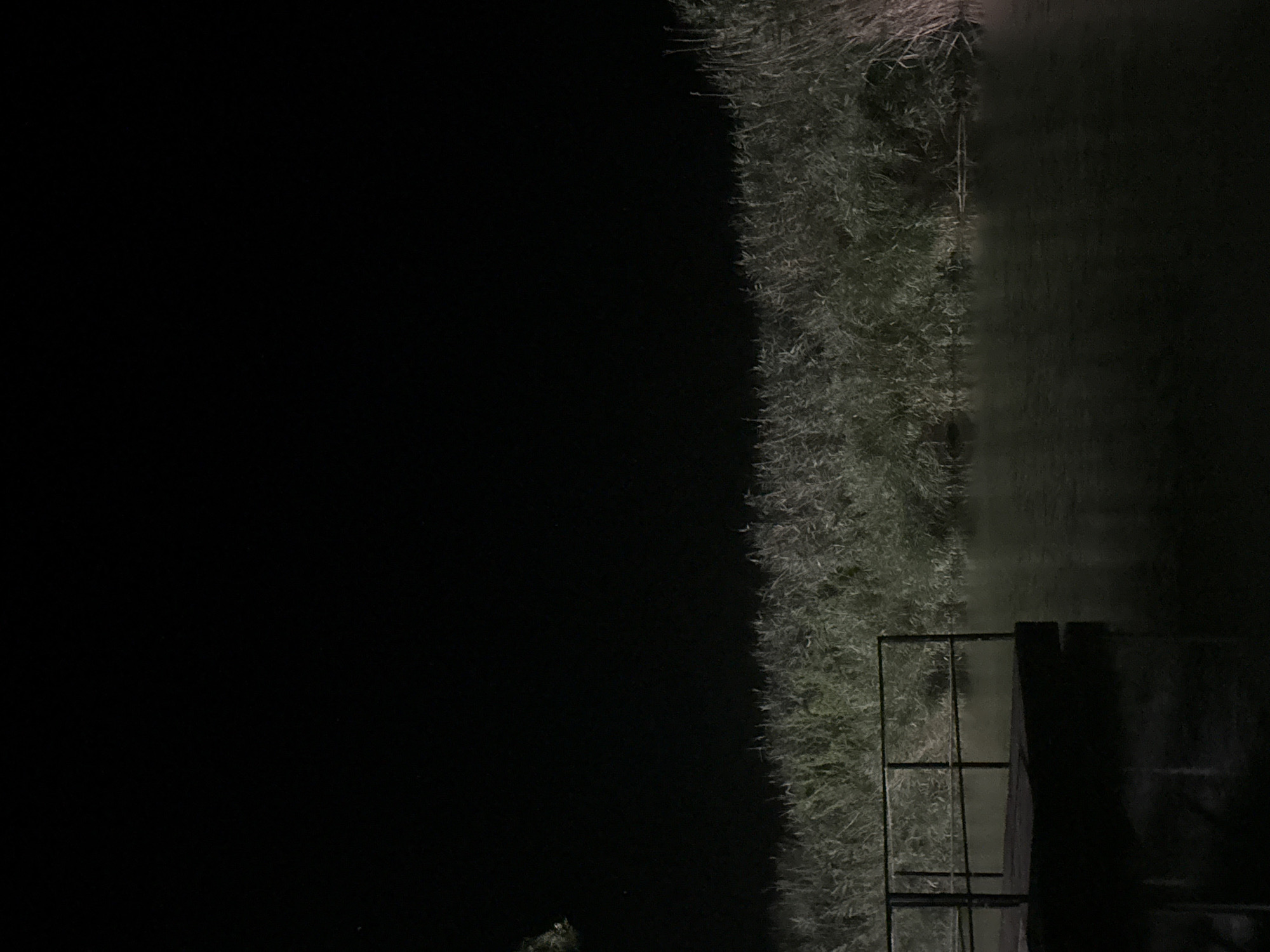 Late-night fishing session at a quiet urban waterfront