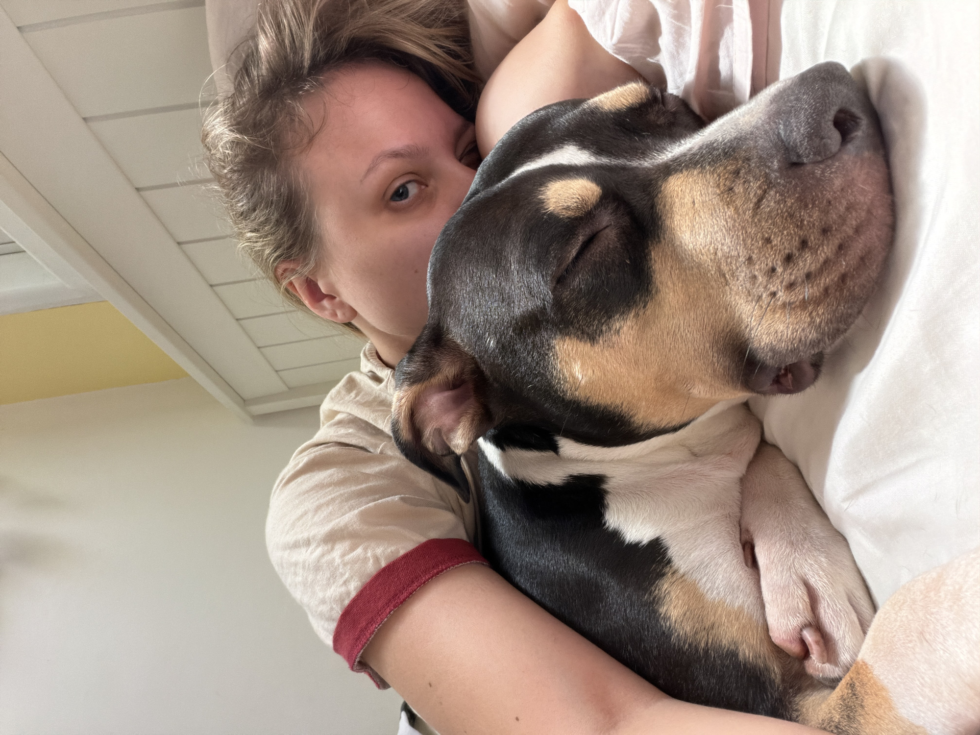 Person cuddles with tricolor dog in Tel Aviv home