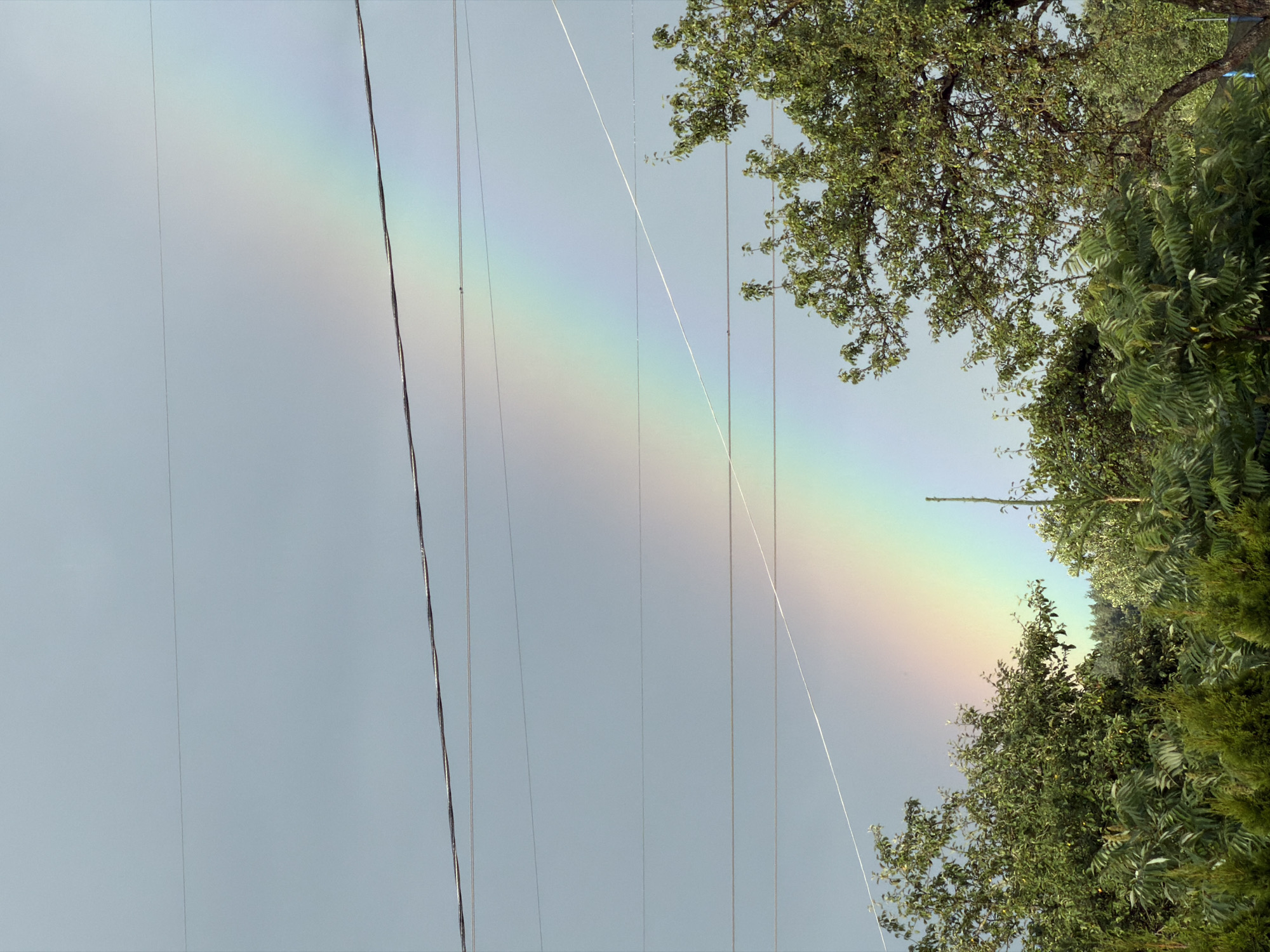 Rainbow over Dreiliņi, with lilies waiting nearby