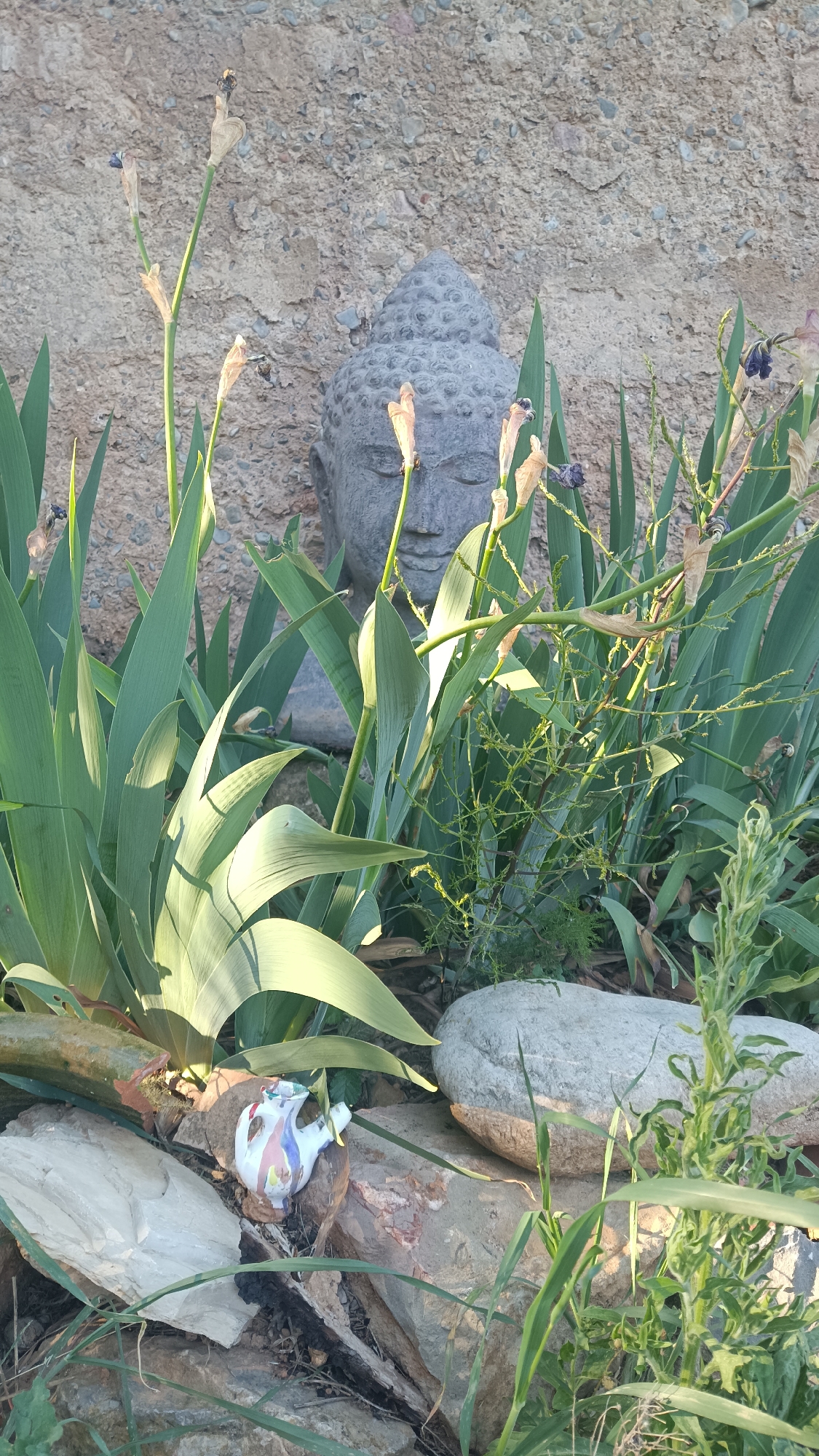 Stone Buddha head spotted in garden setting in Jérica