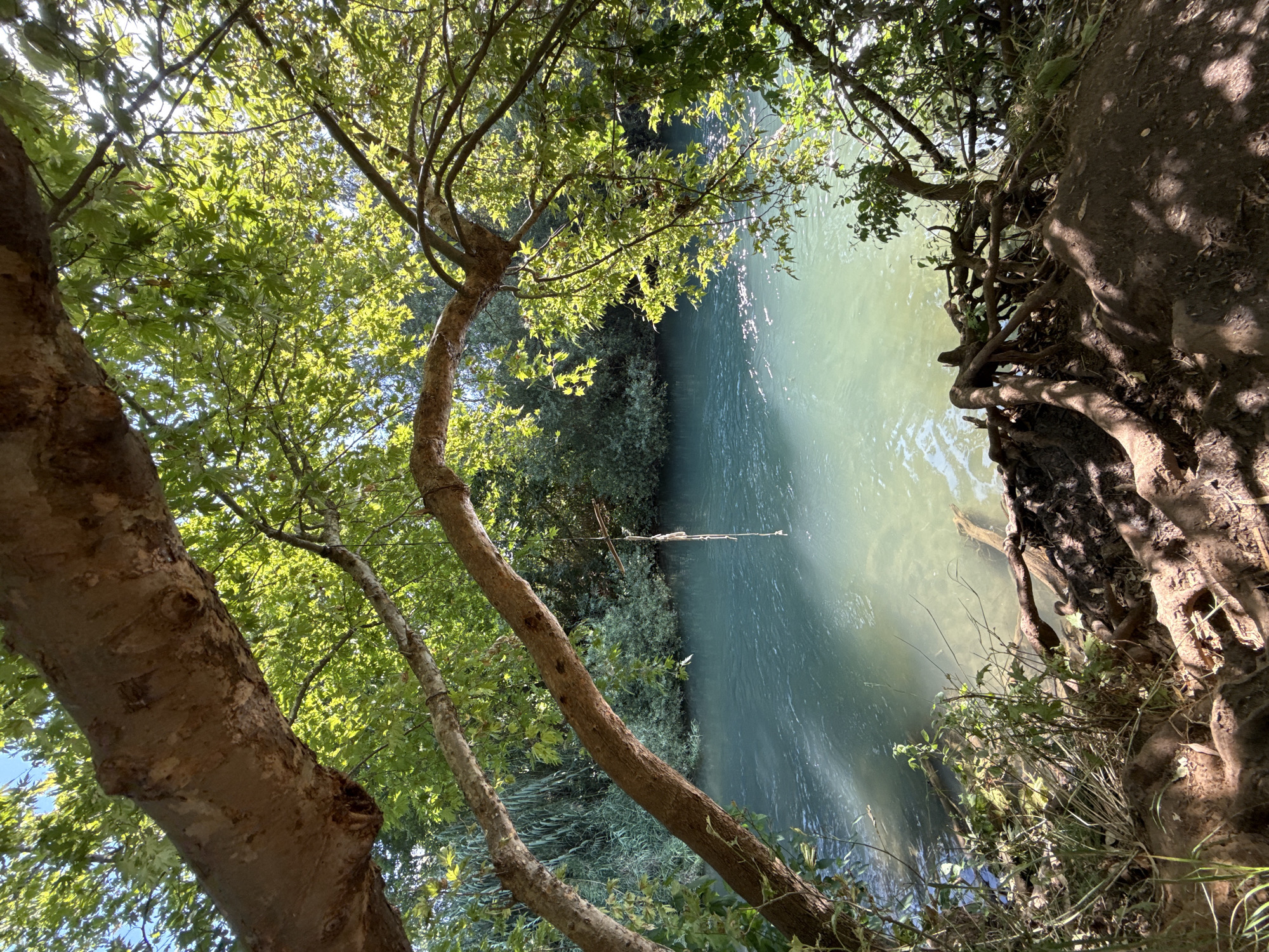 Rope swing and clear water at a northern Israel river spot