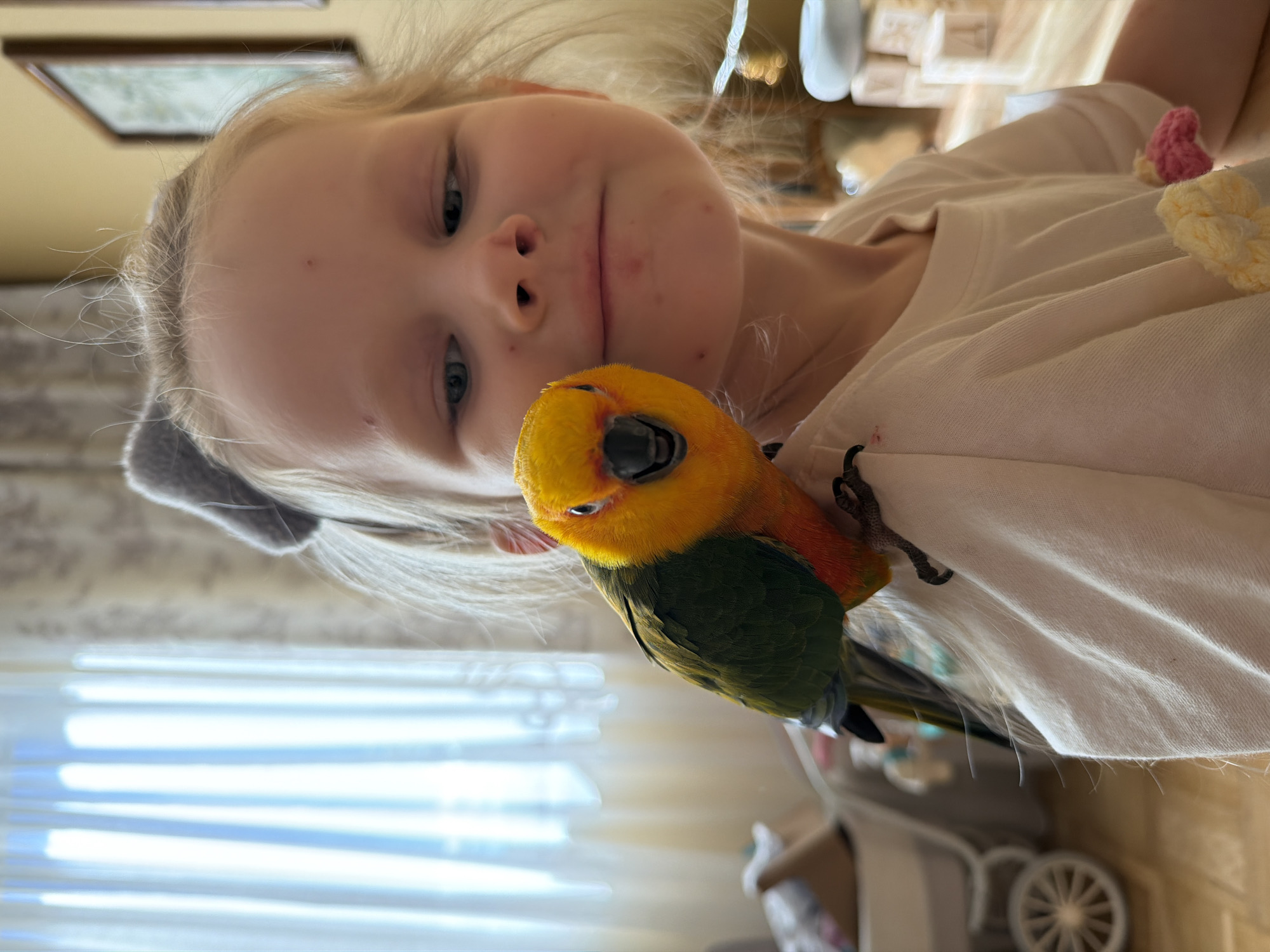 Lazy afternoon at home in Khimki with a parrot and a dog