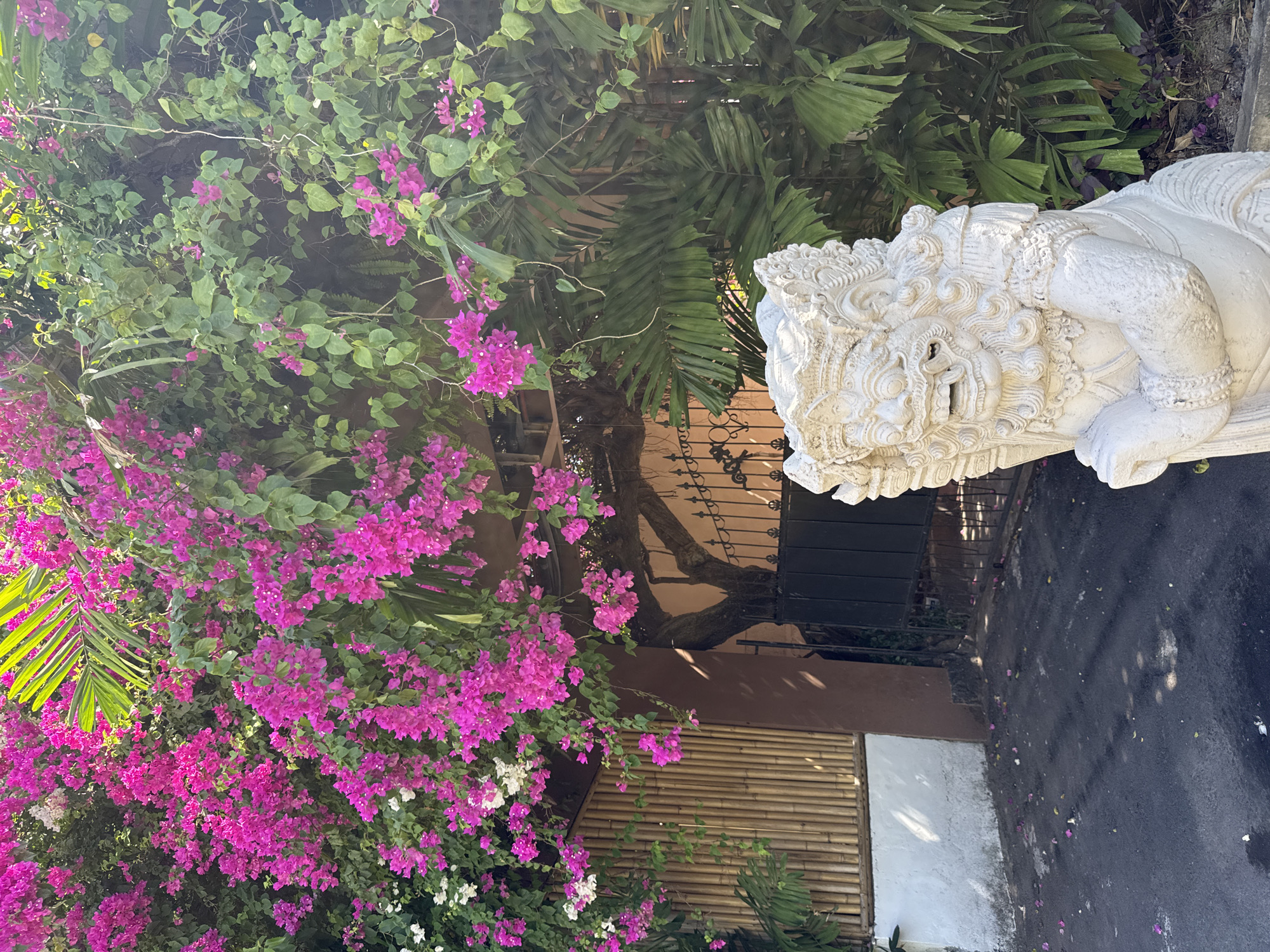 Morning scenes captured in Denpasar garden area