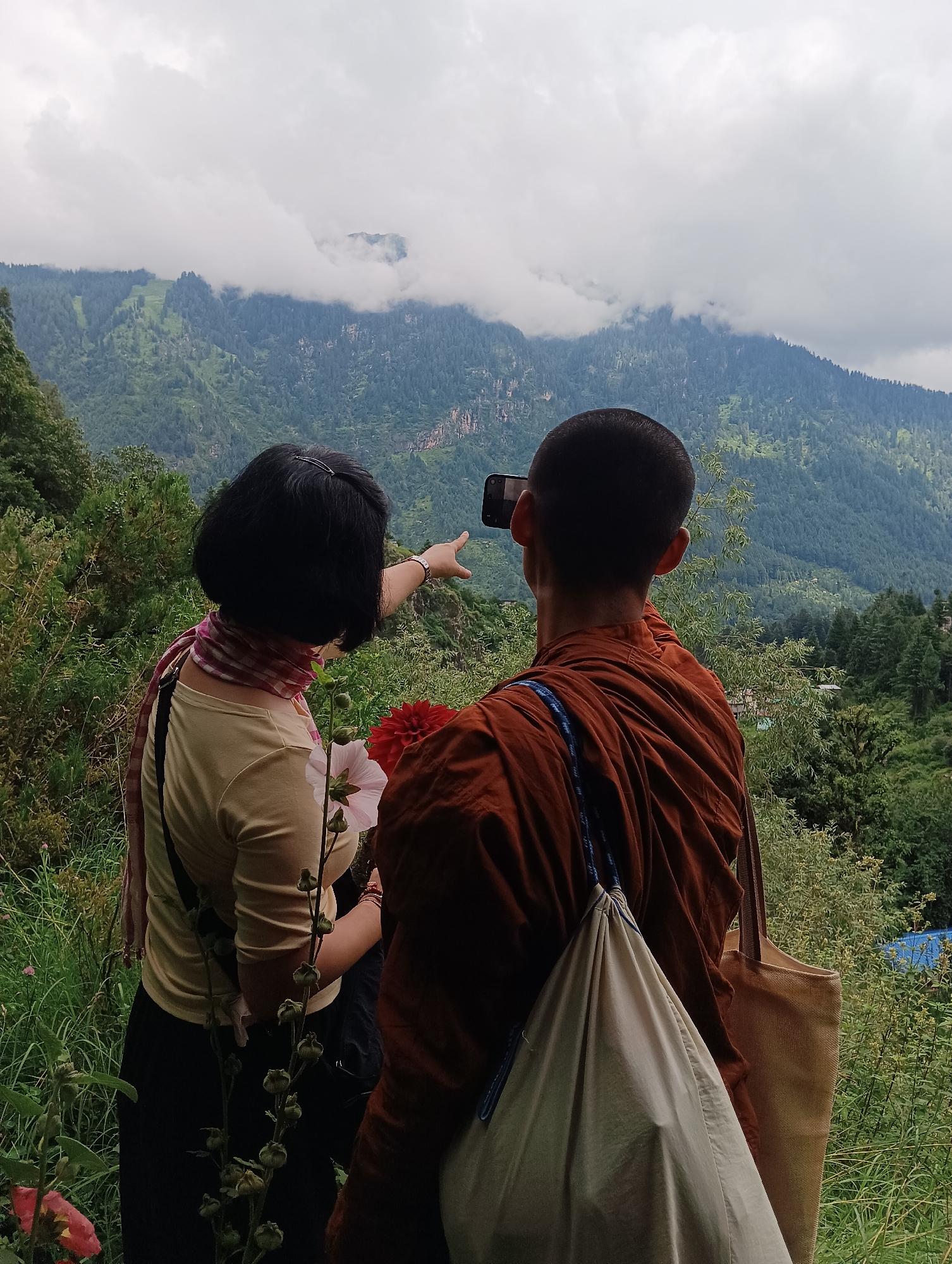 A few hours wandering Manali's rivers, forests, and flowers.