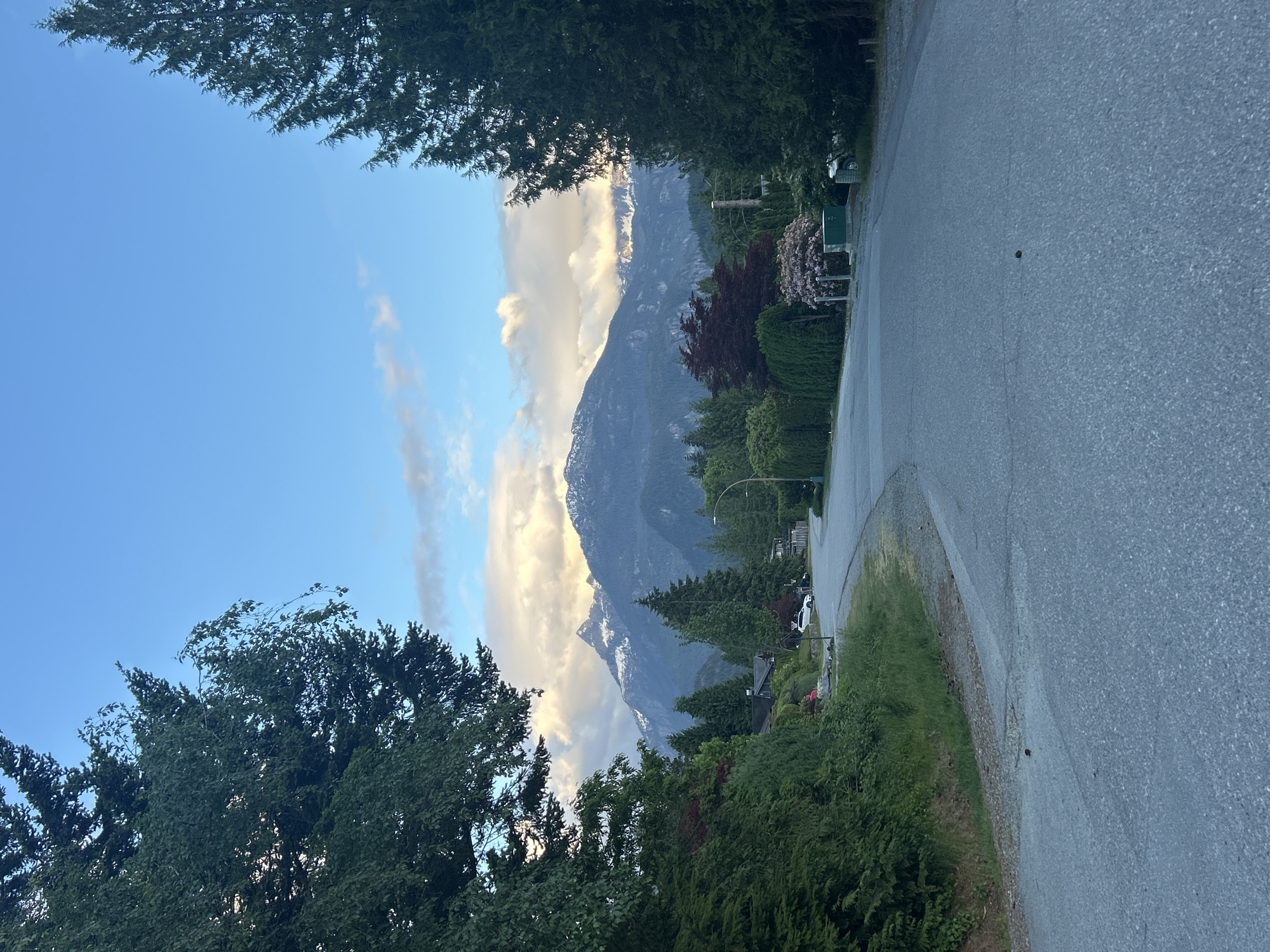 Early morning dog play session on Canadian mountain road