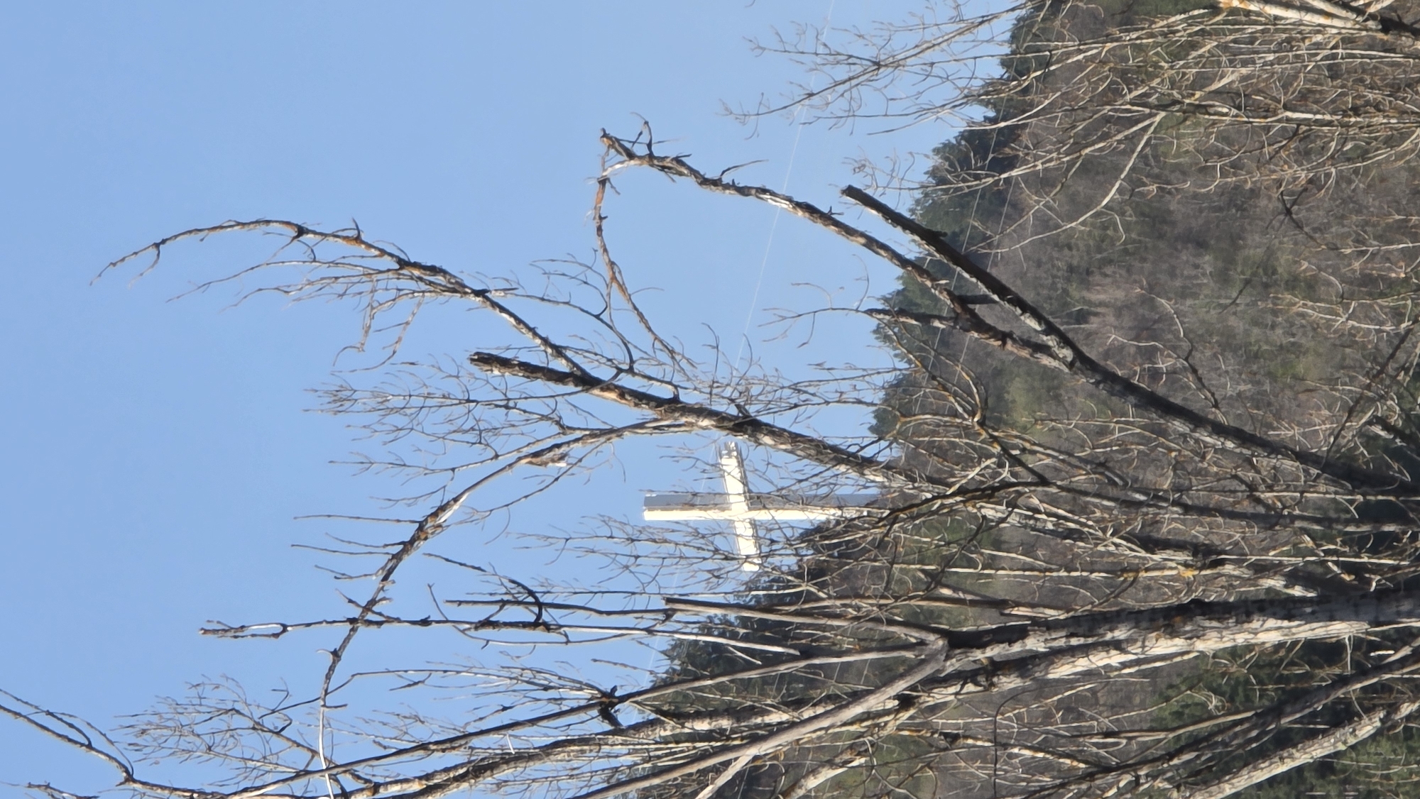 Morning walk through sunny Blagoevgrad parks and forests documented