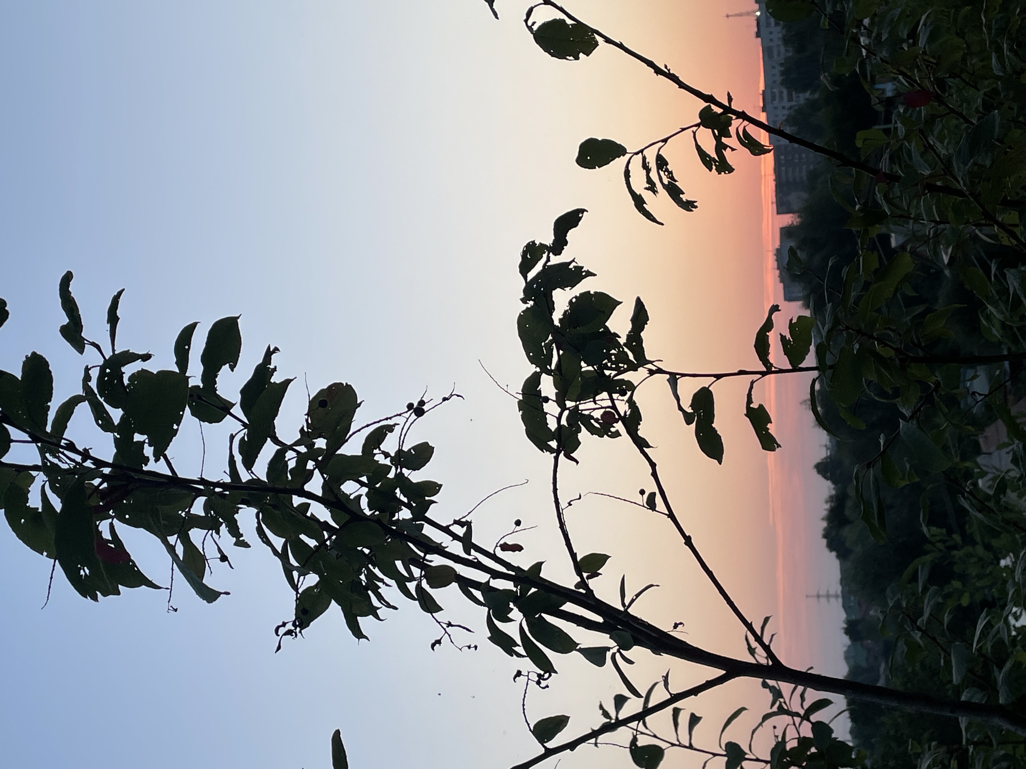 Sunset over Chaikovsky, with a cat watching from the windowsill