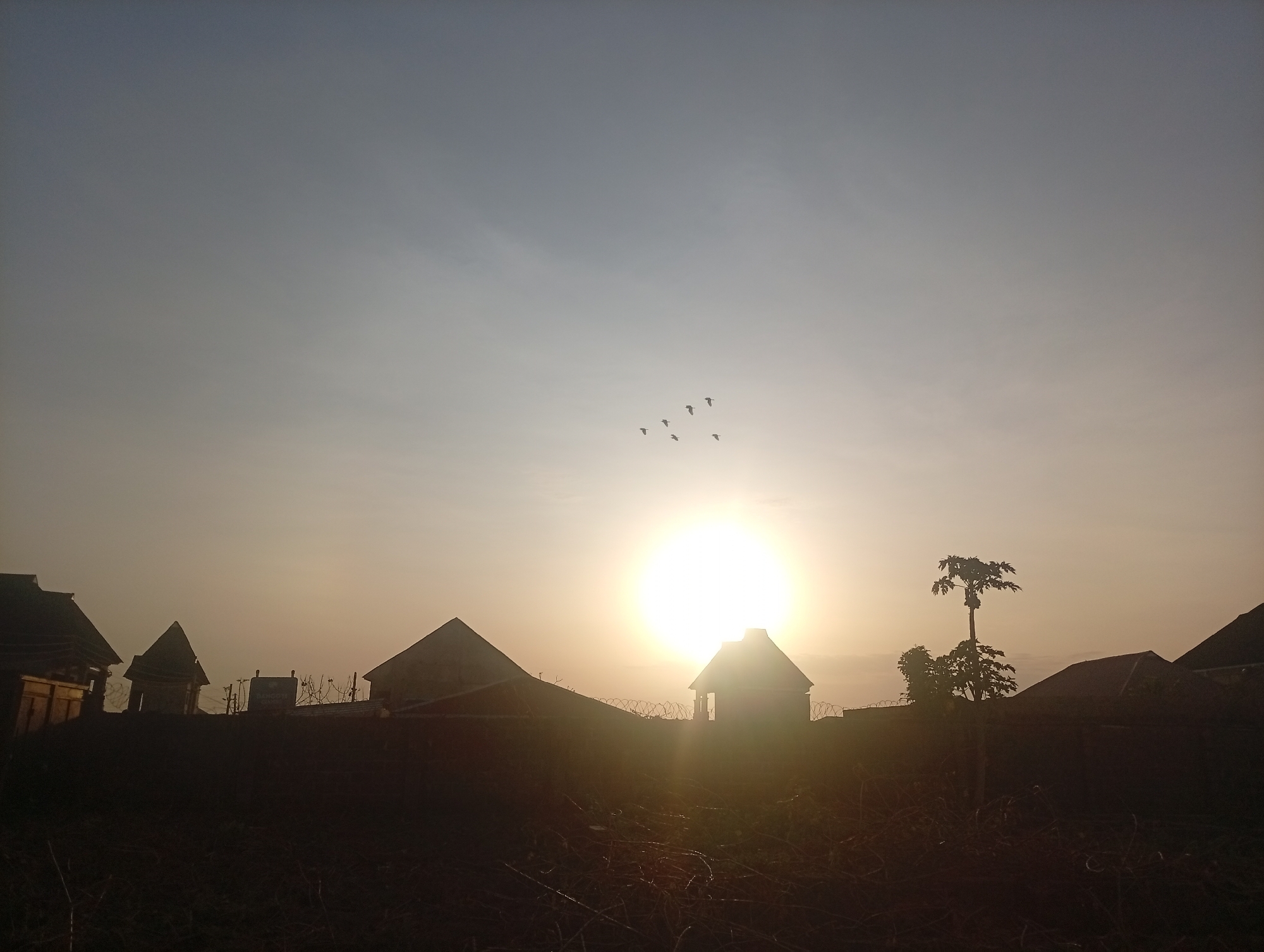 Young man observed in sunlit residential yard in Ikorodu