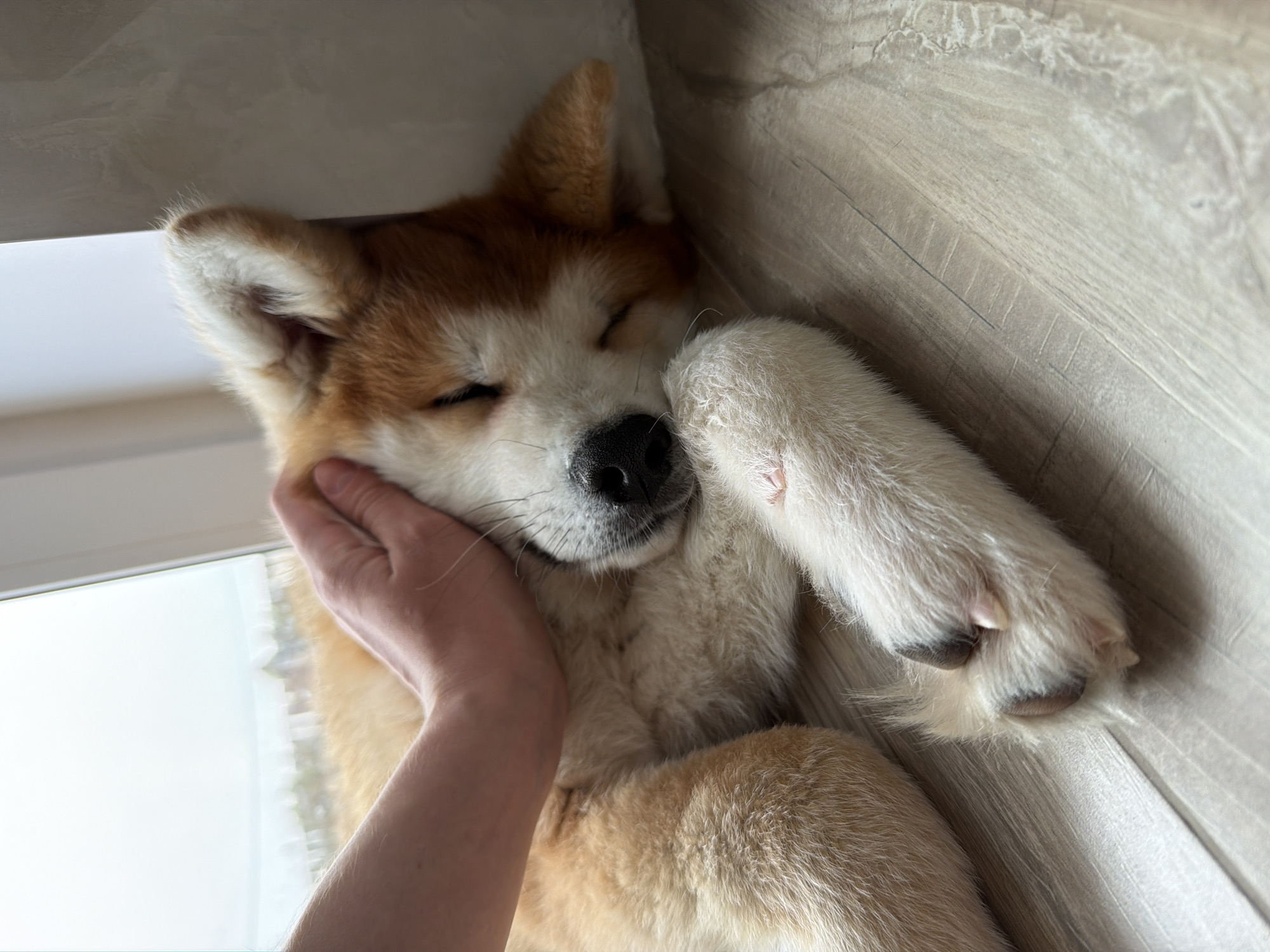 Tender pet moments captured in Chaikovsky home Sunday morning