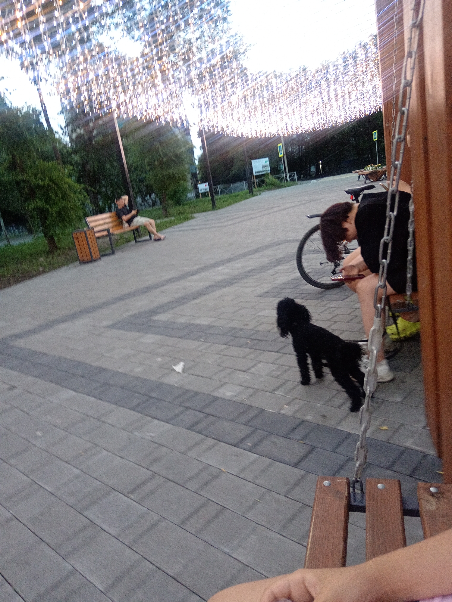 Relaxed summer evening in a Belogorsk park strung with fairy lights
