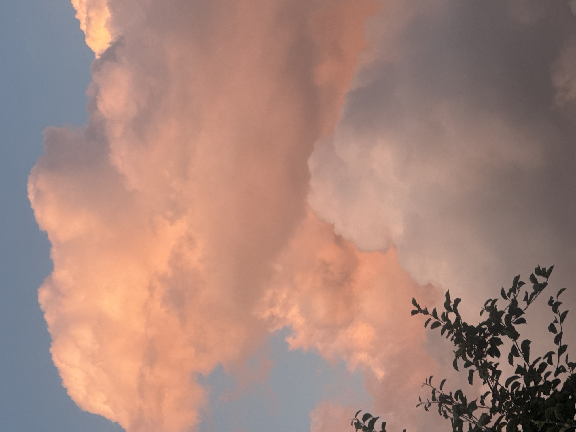 Dusk skies and a resting dog in rural Hraniv