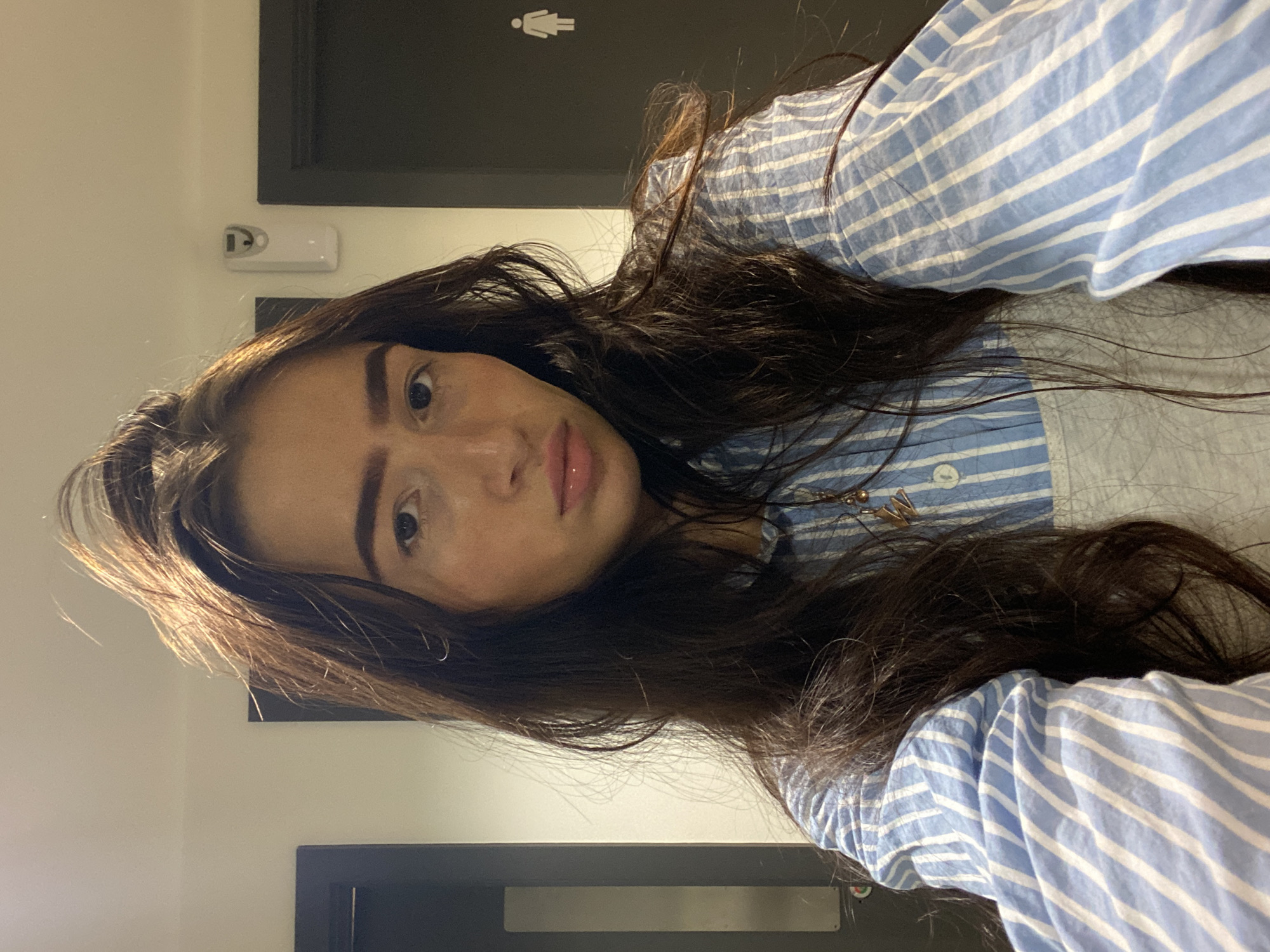 Woman takes bathroom selfies in London public restroom