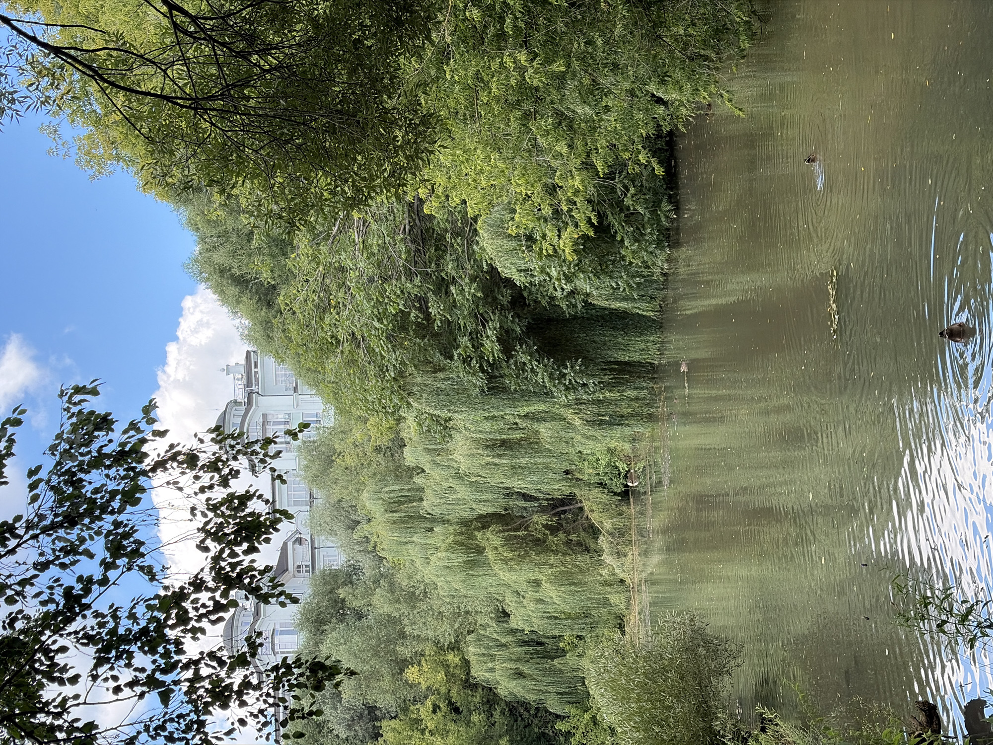 Summer morning in Khimki's parks and waterways