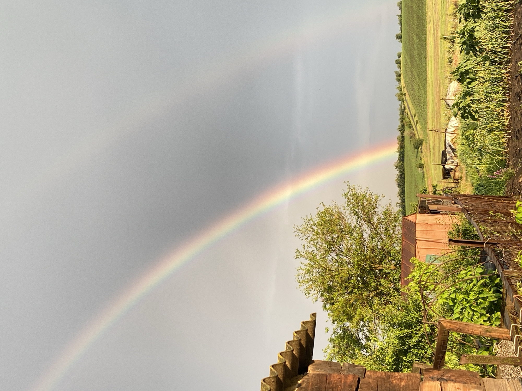 Double rainbow appears over rural farmland during overcast afternoon