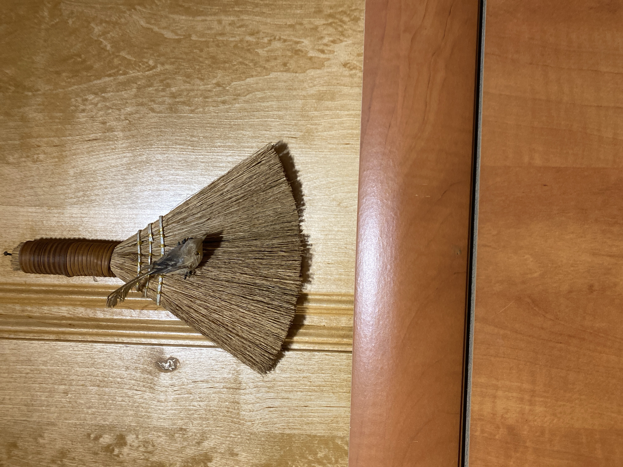 Inside a well-lived Yokohama home, full of collected things