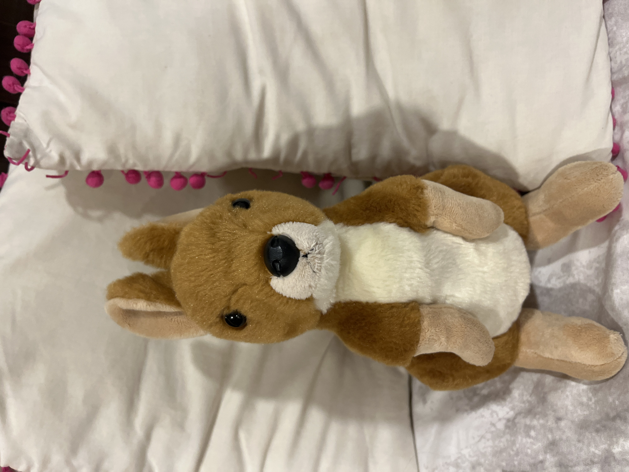 Stuffed kangaroo toy spotted on decorative pillow in Mexico