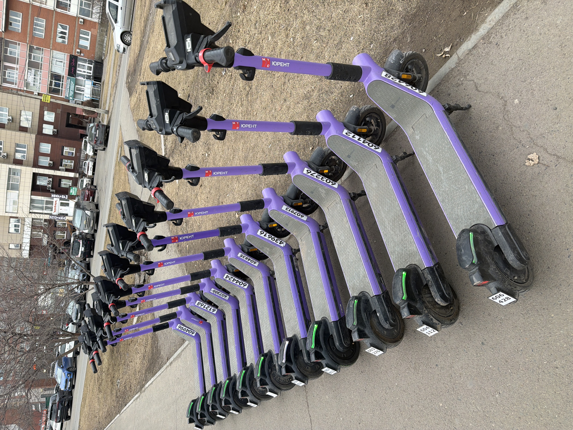 ЮРЕНТ electric scooters deployed on Krasnoyarsk street