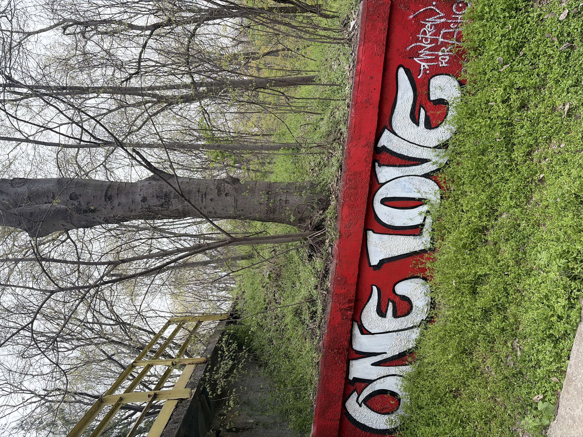 Morning walk through spring awakening park documented in Plovdiv