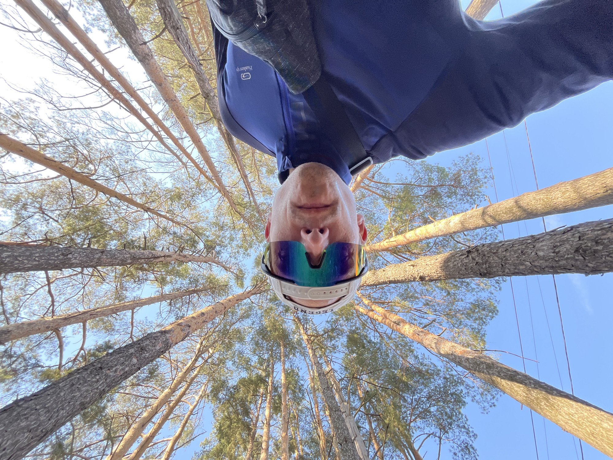 Man photographed from below in Russian pine forest