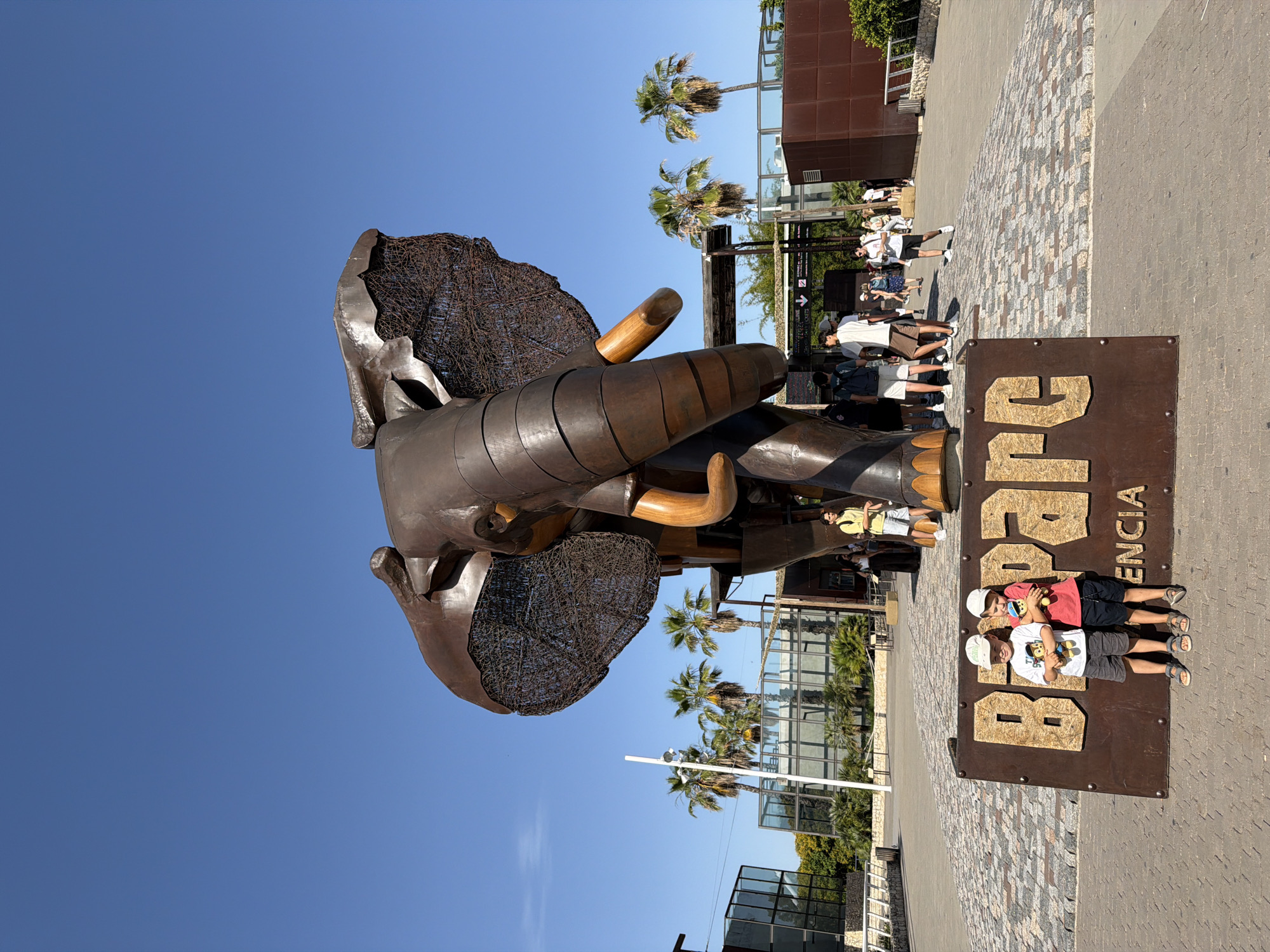 Morning visit to Bioparc Valencia, flamingo viewing and zoo walkthrough