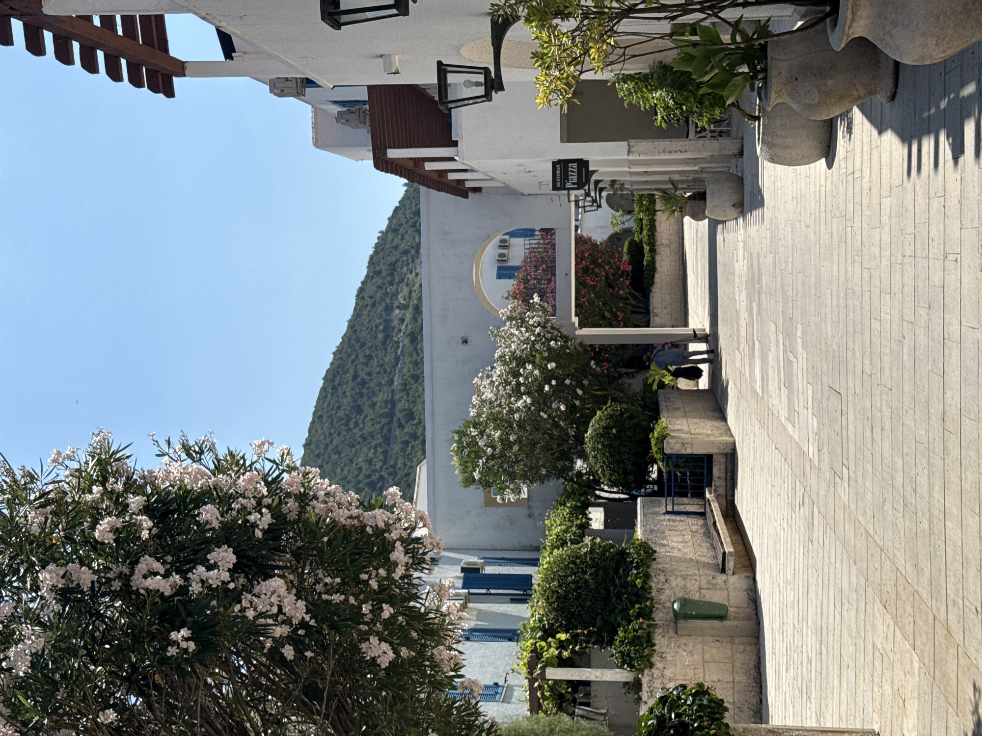 Sunny morning stroll through Budva's coastal promenade and hillside views
