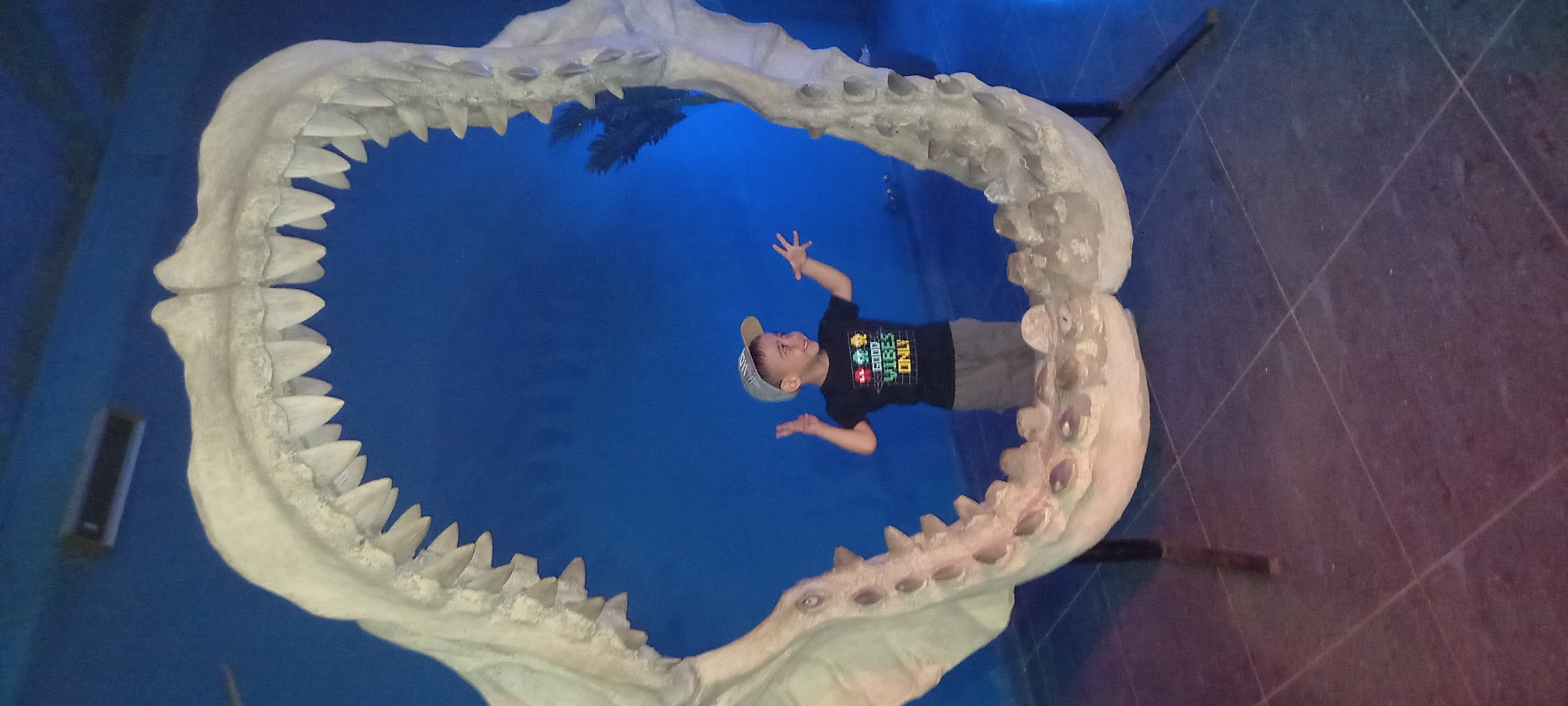 Family visits public aquarium in Krasnodar, Russia morning