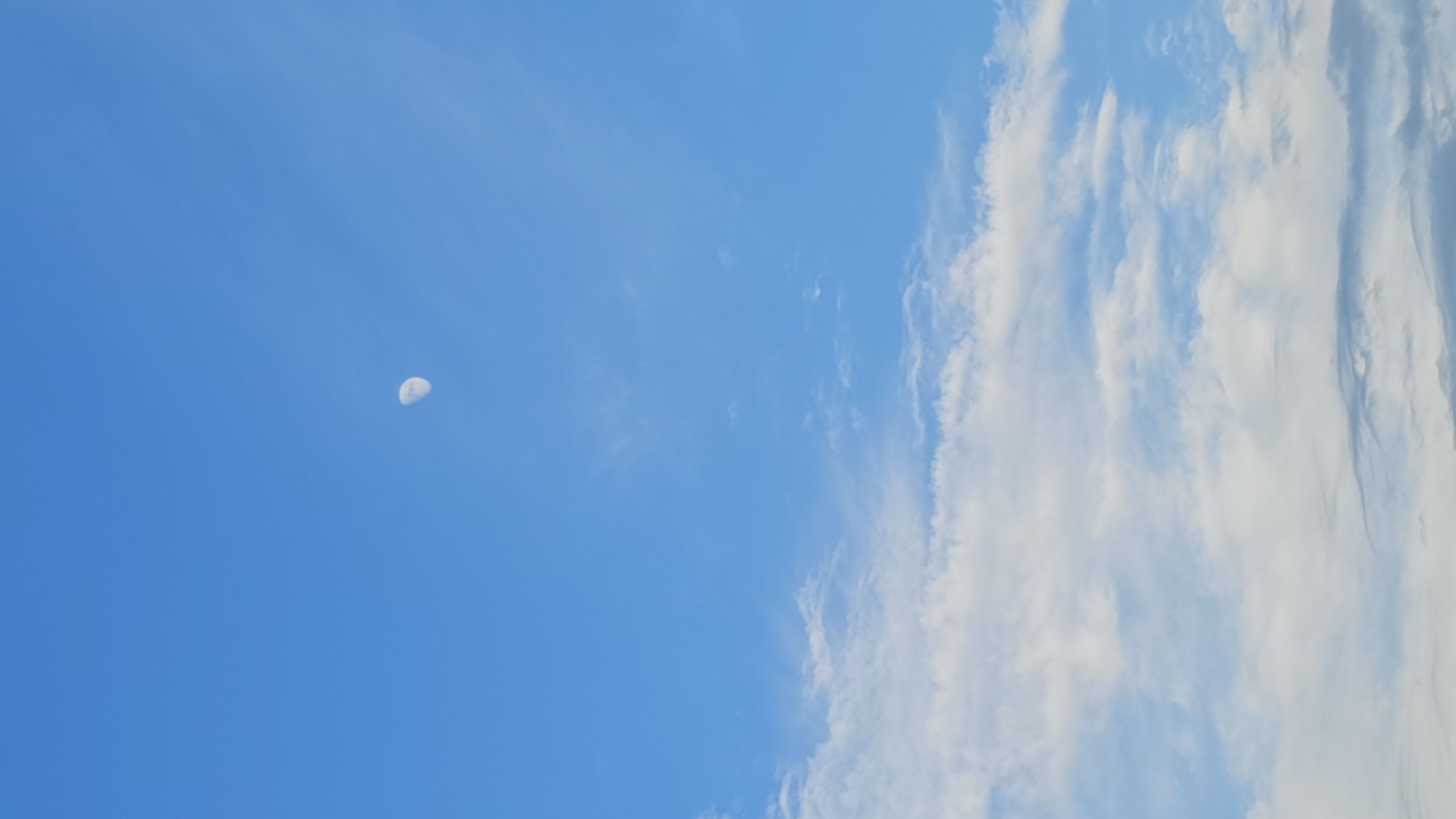 Quiet afternoon in Kazakhstan: sky, garden, cat, and tech