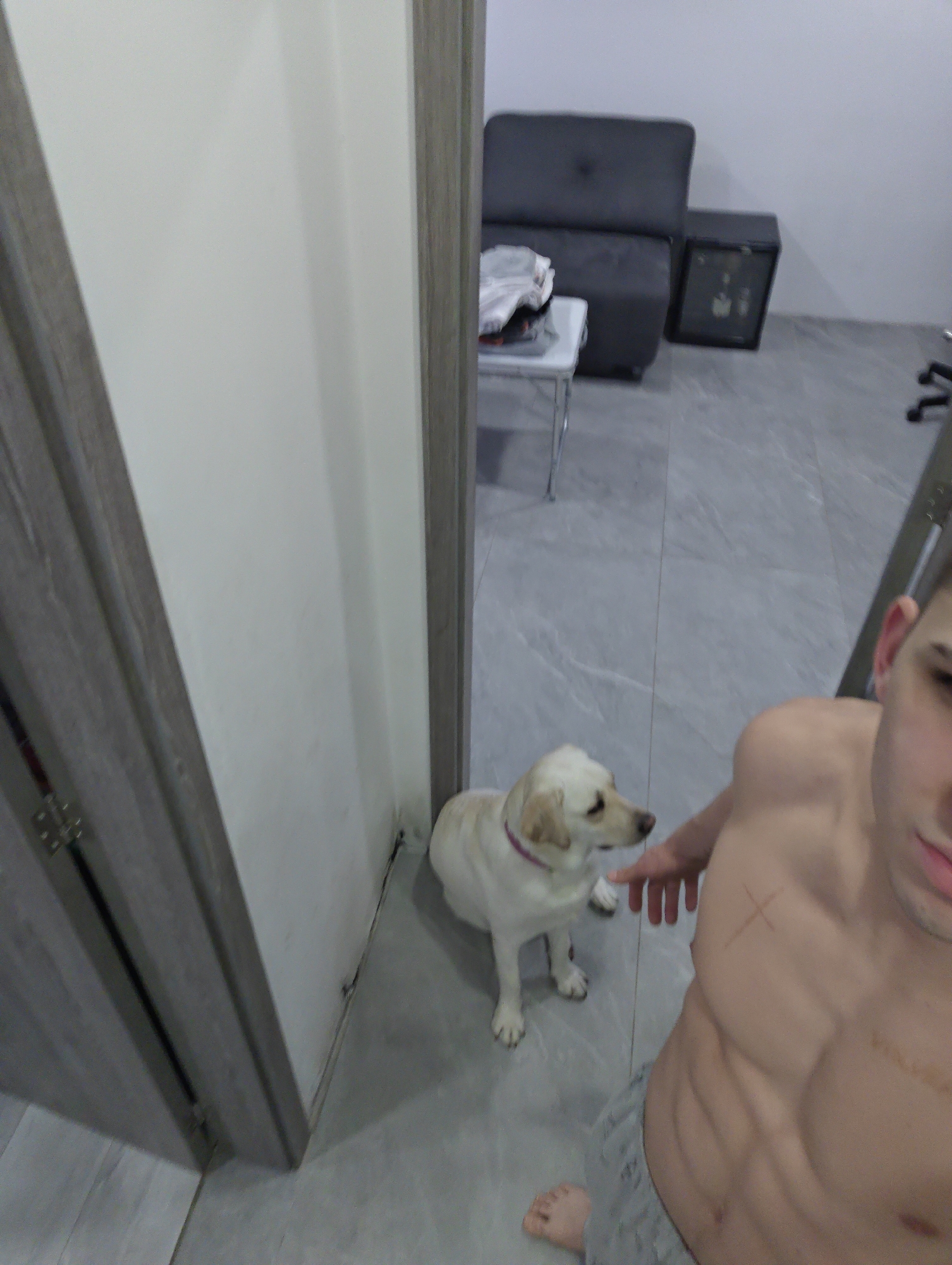 Man takes mirror selfies with dog in Bulgarian bathroom