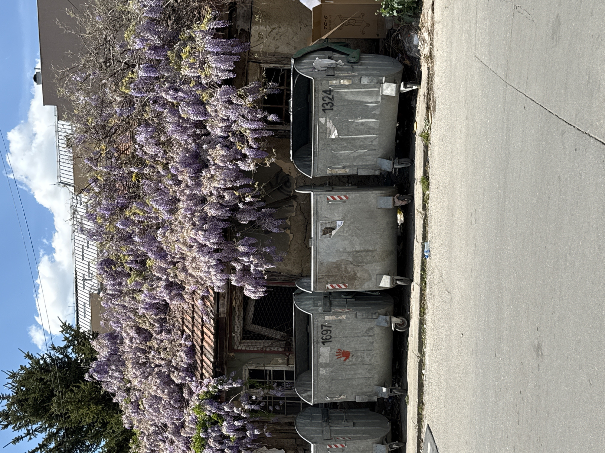 Gray dumpsters line street near abandoned building in Kragujevac