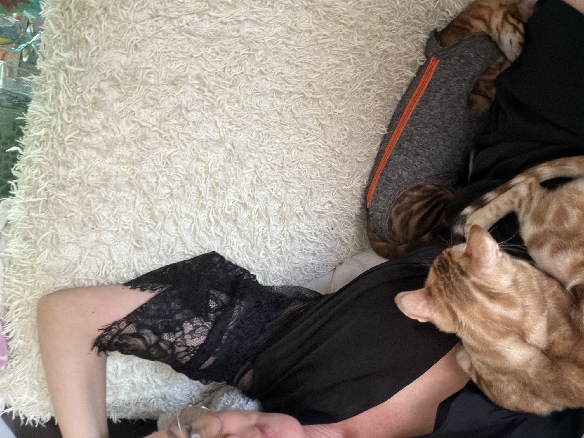 Woman enjoys quiet moments with cats at home