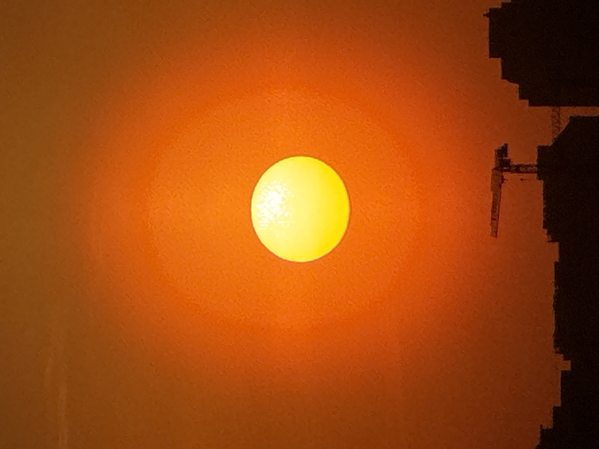 Moscow resident documents hazy sunset, indoor flowers during evening