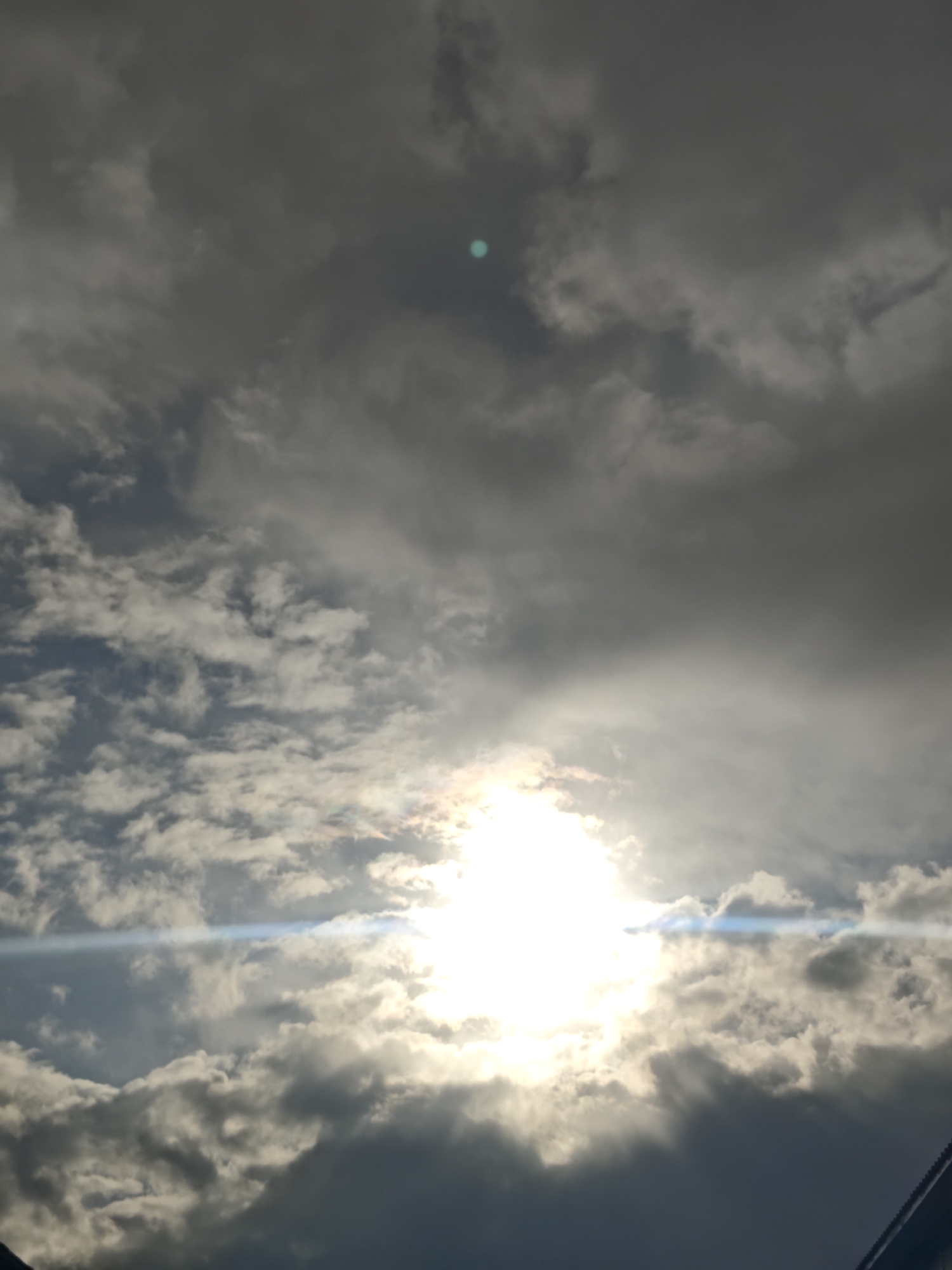 Cloudy skies and dog feeding captured in Russia