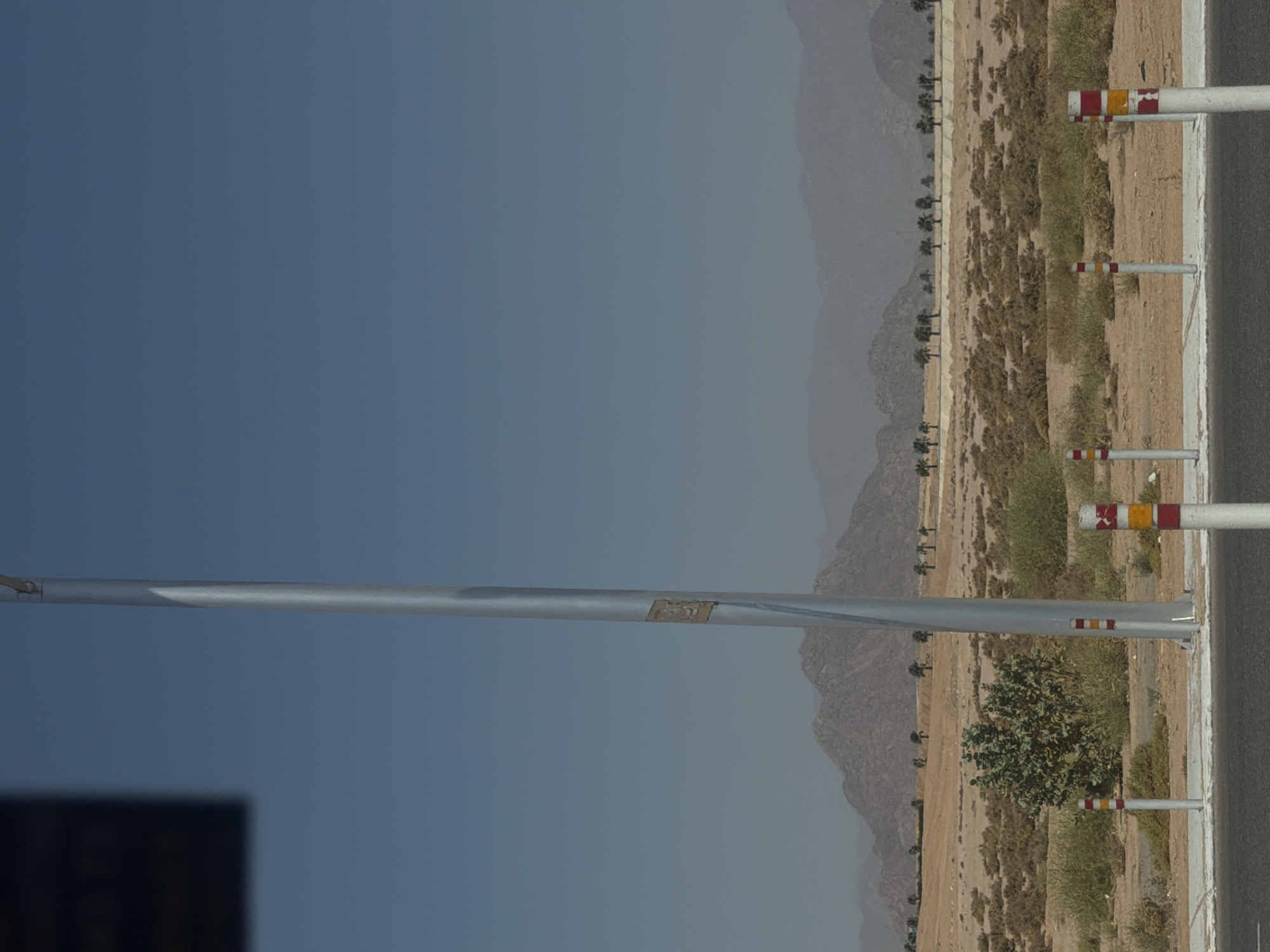Sunny desert road lined with palm trees in Sharm El Sheikh