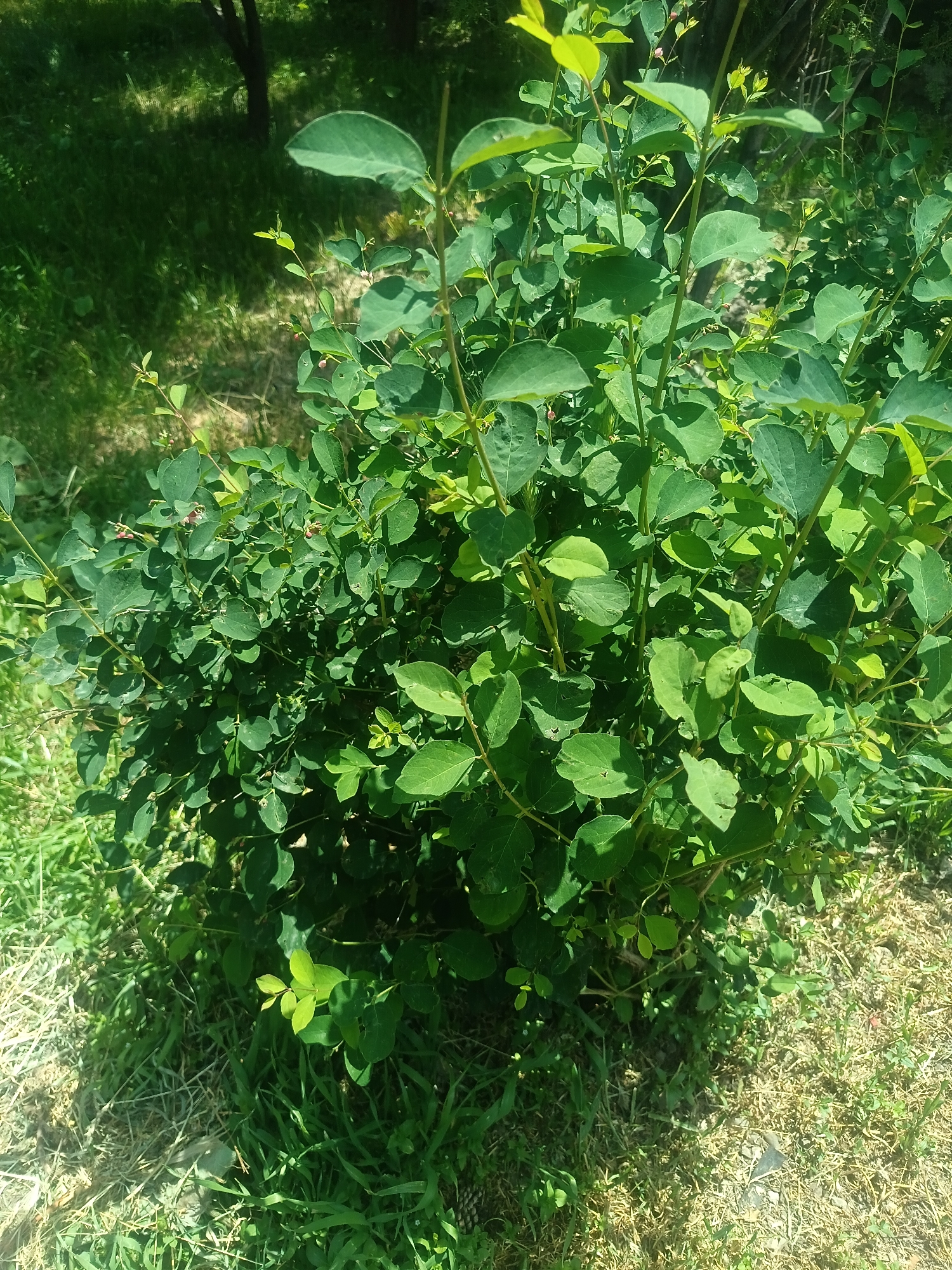 Mixed visual documentation recorded in Nor Geghi, Armenia