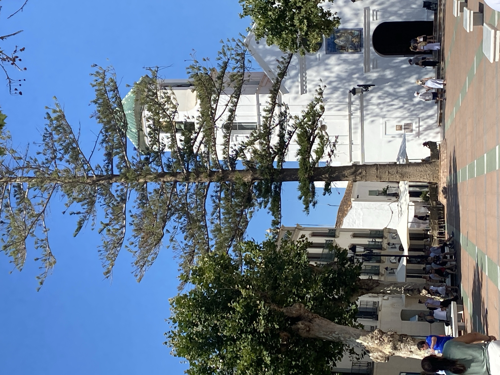 Sunny morning at Nerja's Plaza de España, pine tree center stage