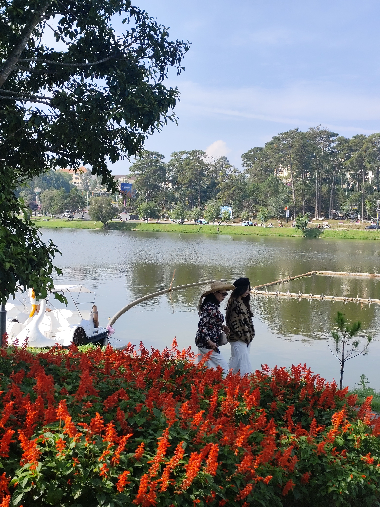 Morning tranquility captured at Da Lat's Xuan Huong Lake