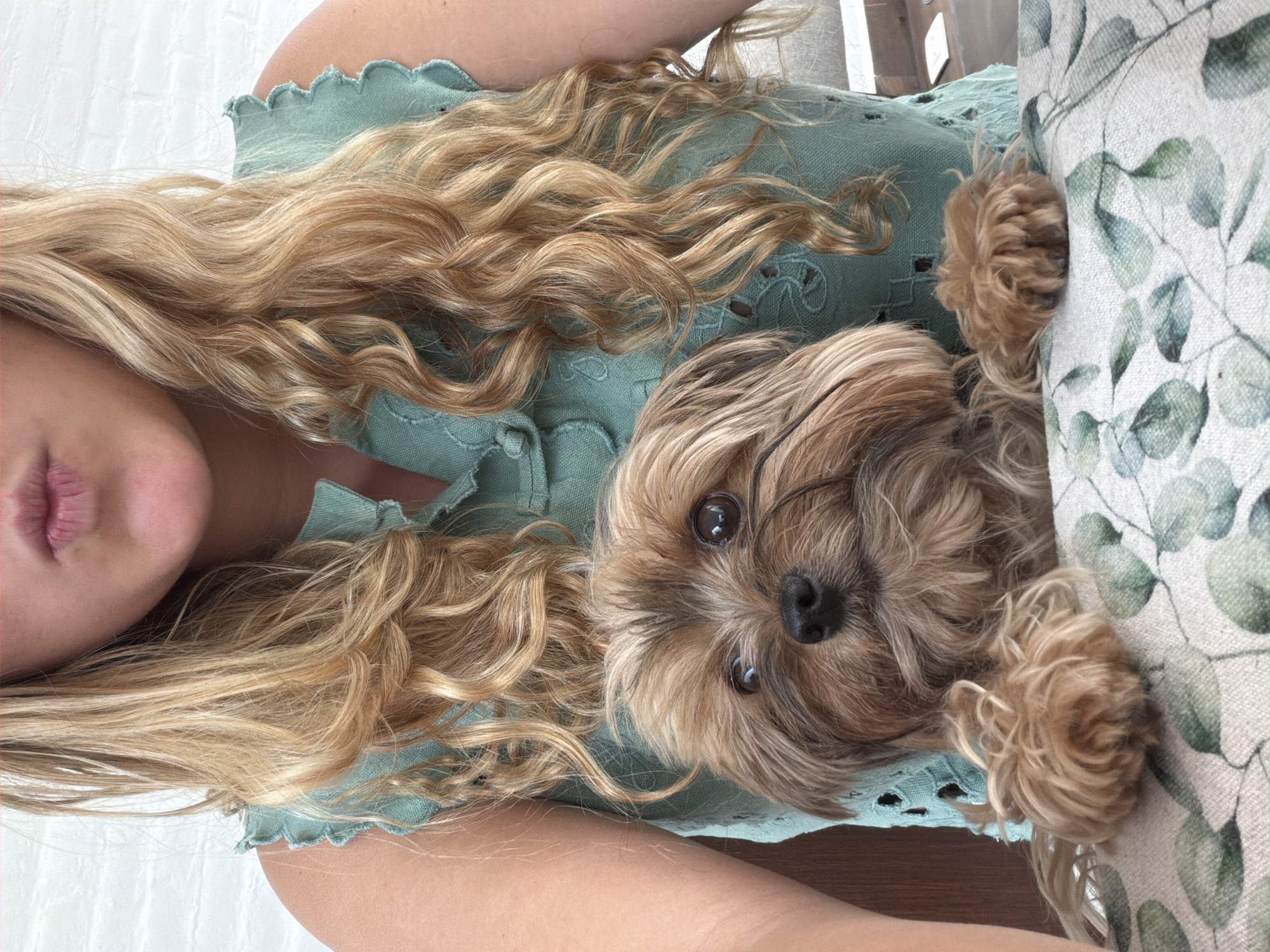 Person and Yorkshire Terrier rest together in Mexican home